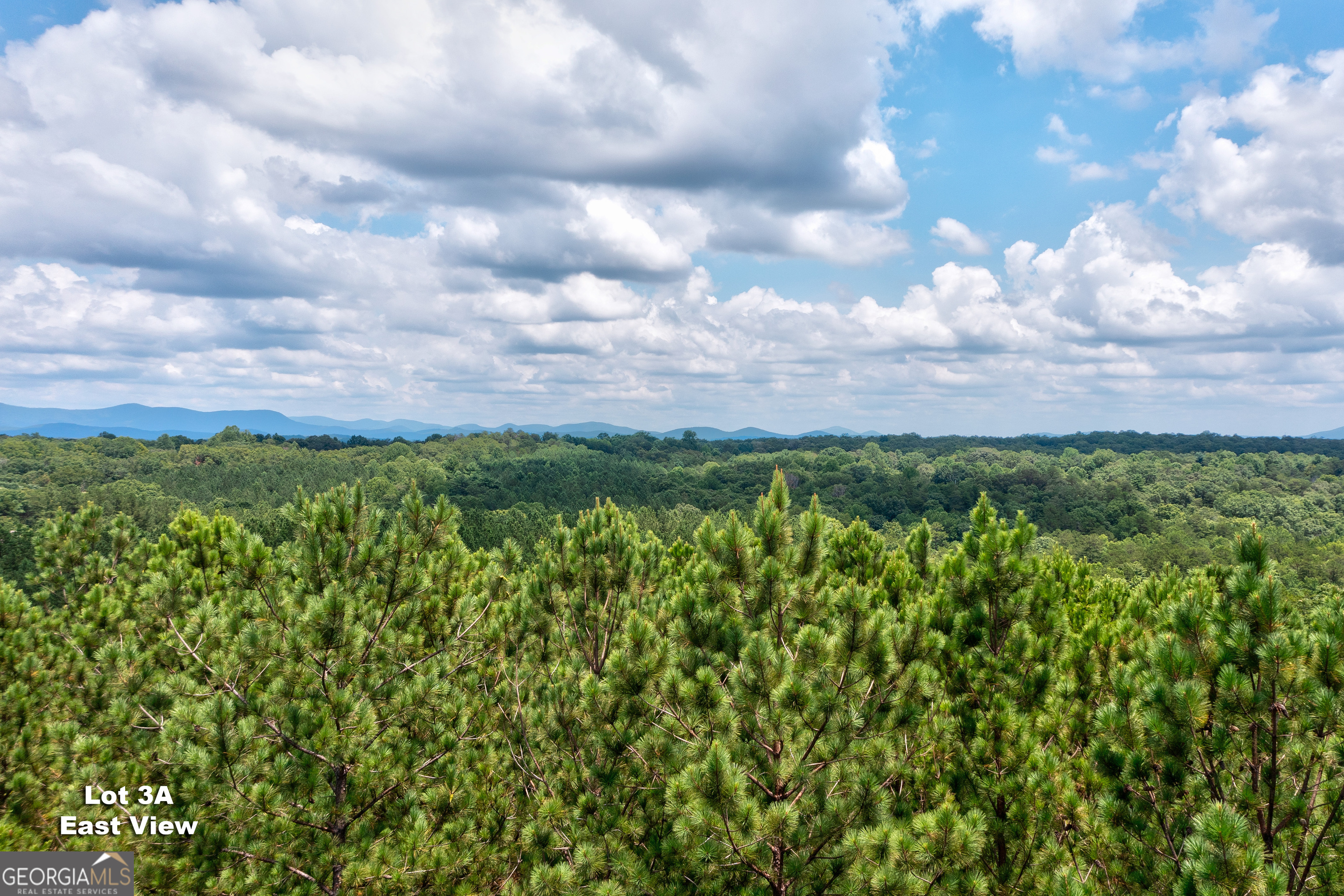 125 Patriot View Drive Dahlonega GA 30533
