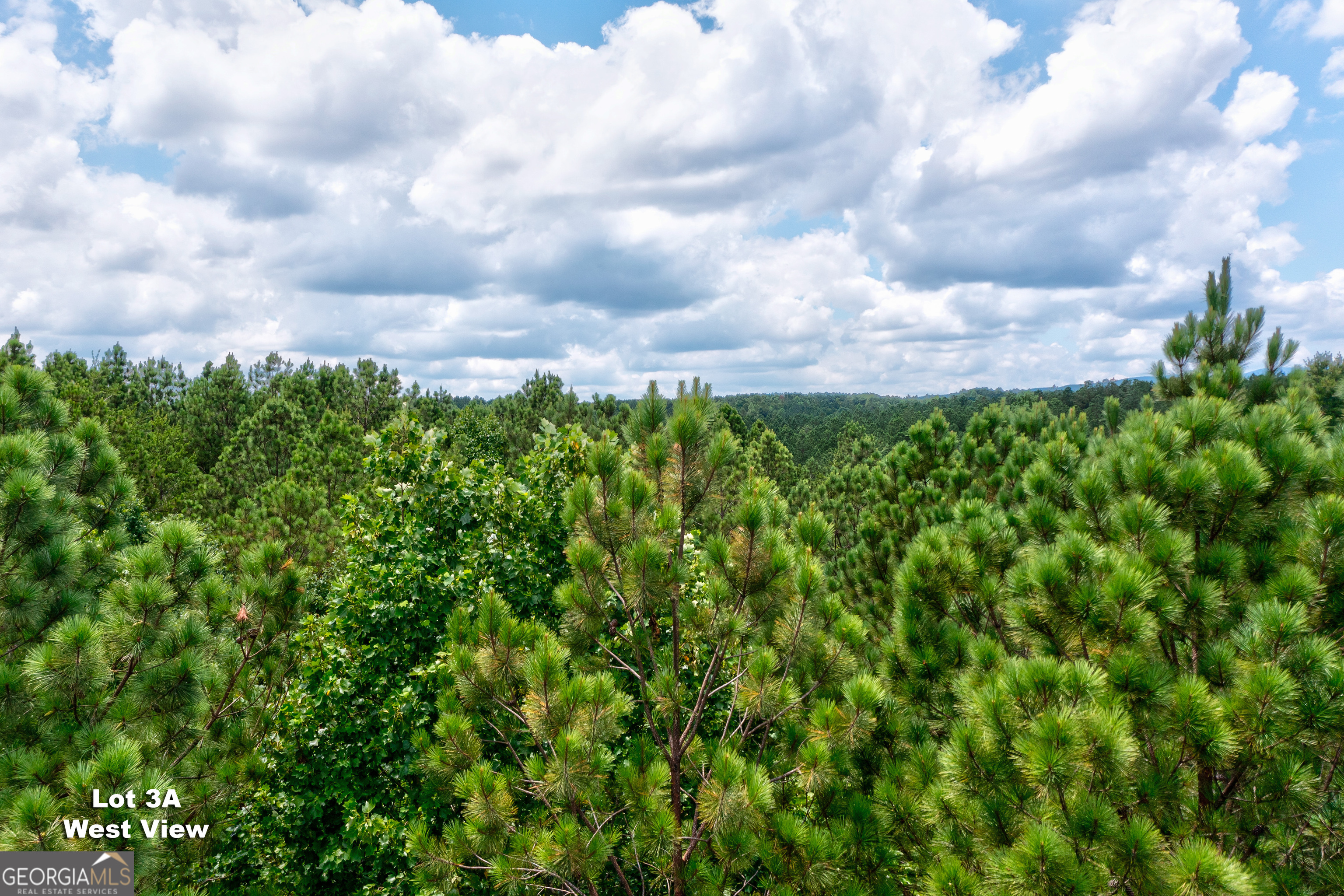 125 Patriot View Drive Dahlonega GA 30533