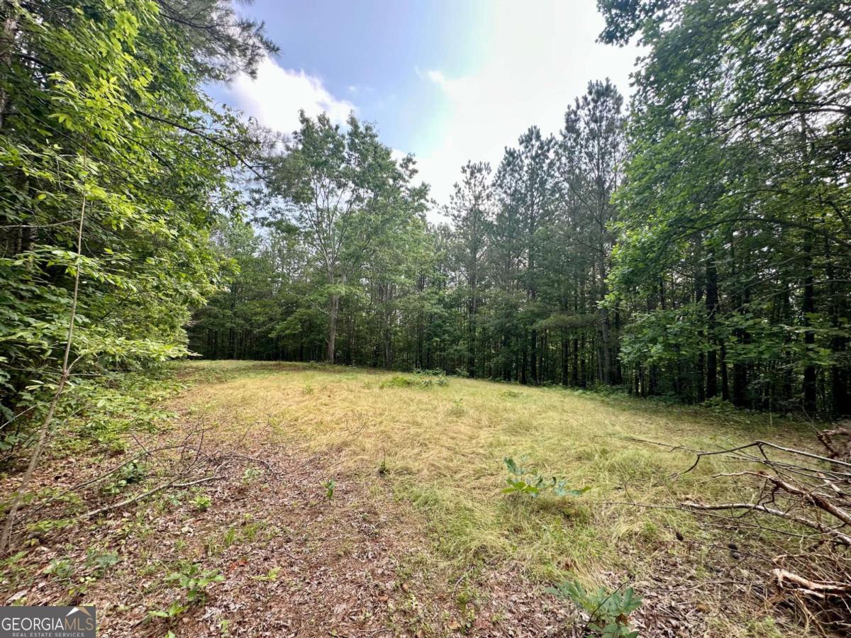 125 Patriot View Drive Dahlonega GA 30533