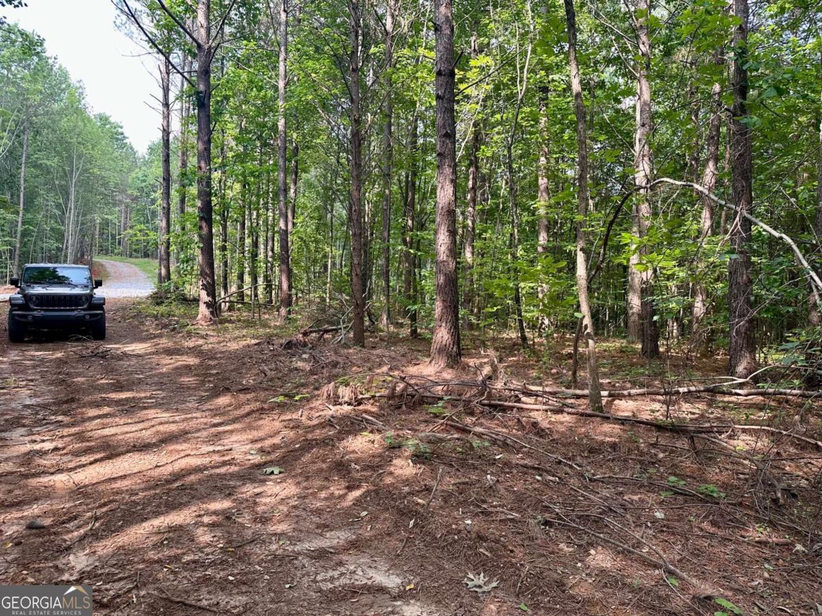 125 Patriot View Drive Dahlonega GA 30533