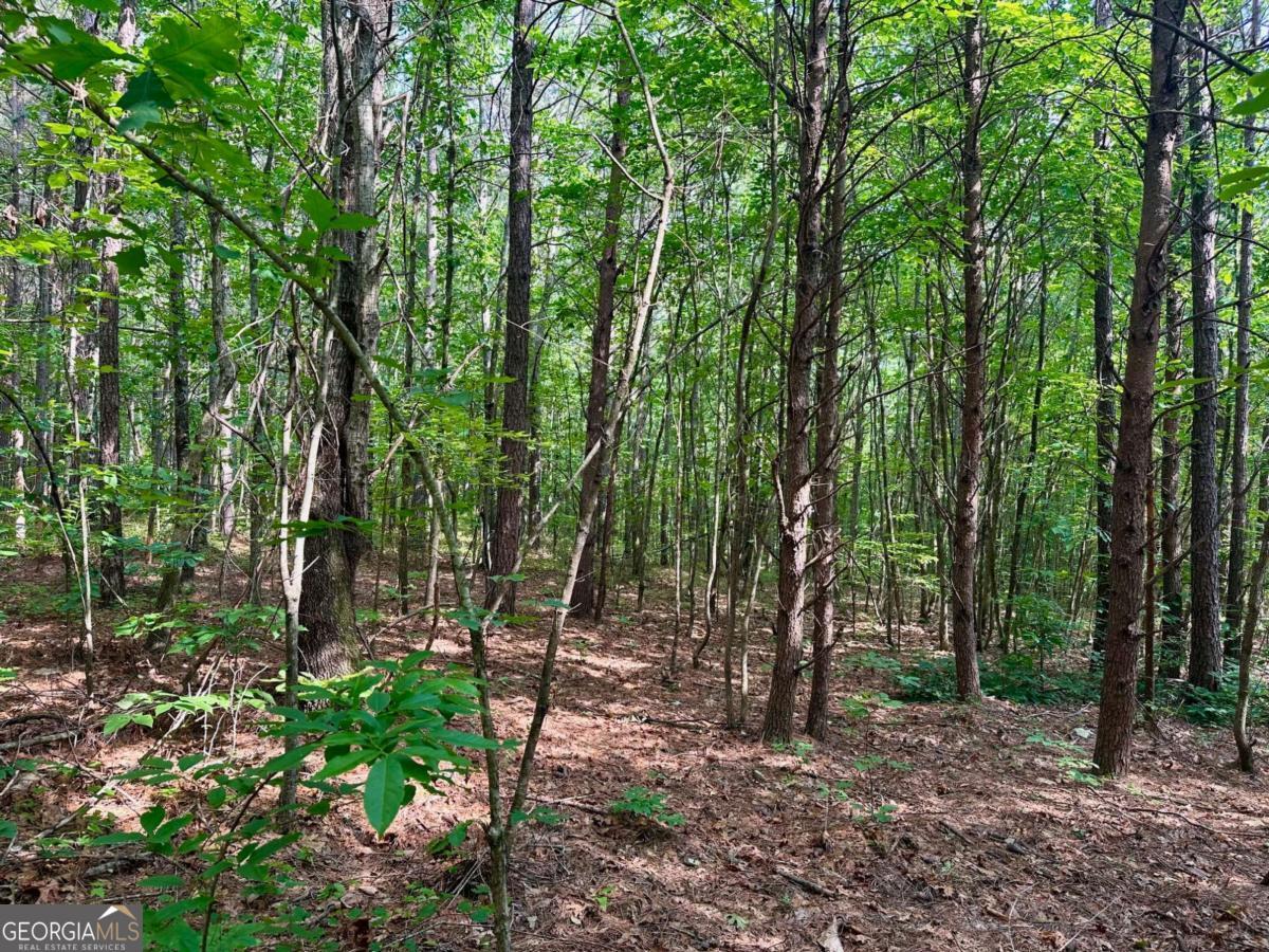 125 Patriot View Drive Dahlonega GA 30533