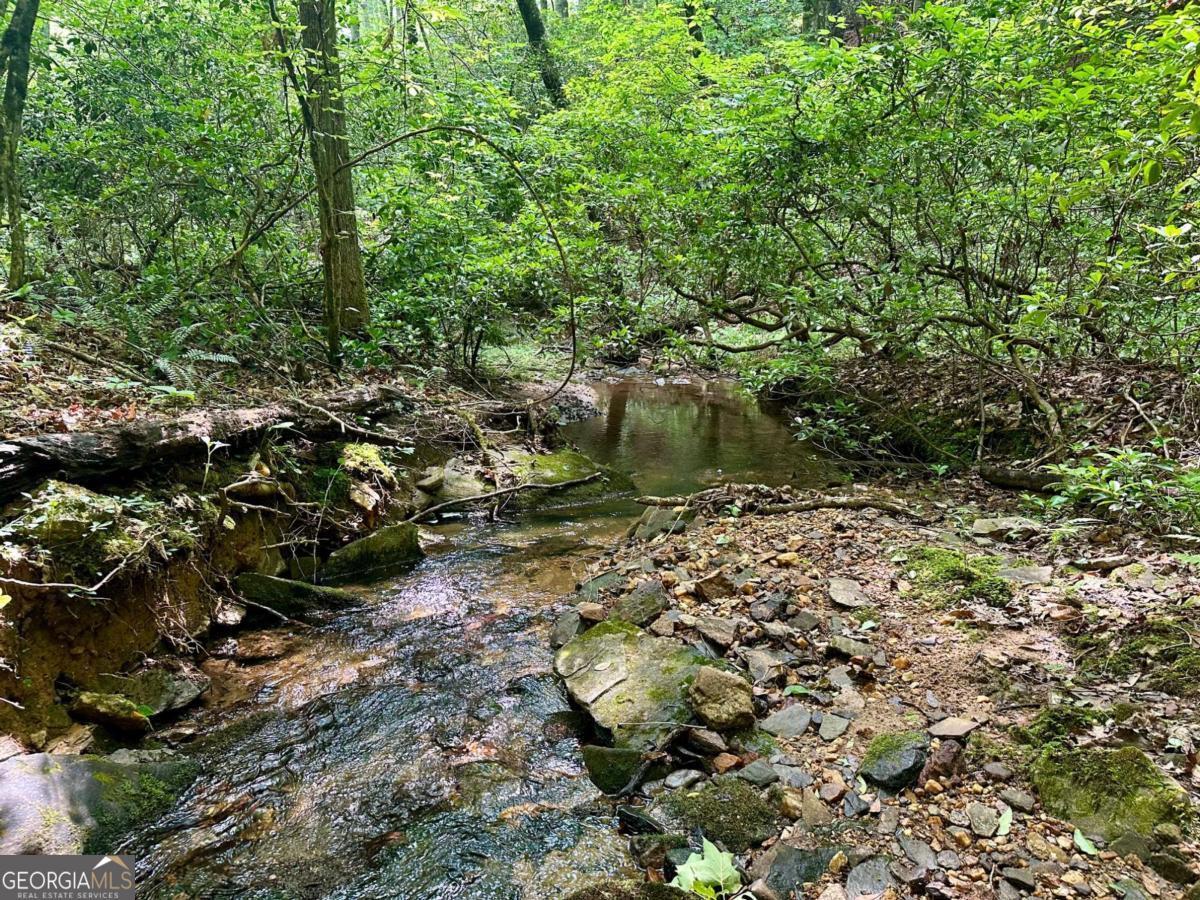 125 Patriot View Drive Dahlonega GA 30533