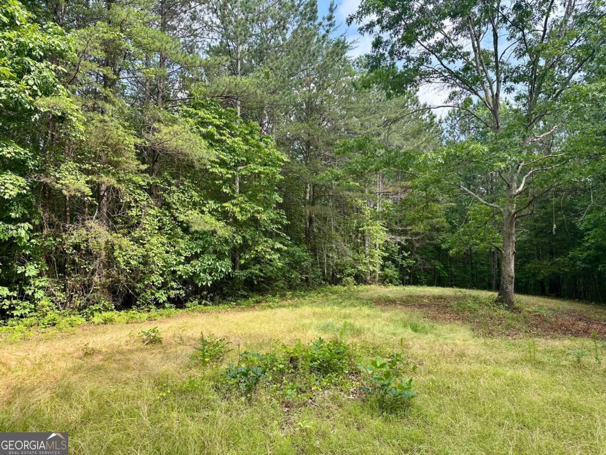 125 Patriot View Drive Dahlonega GA 30533
