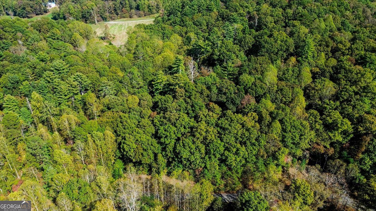 Lt 3468 Eagle M Fir Lane Ellijay GA 30540