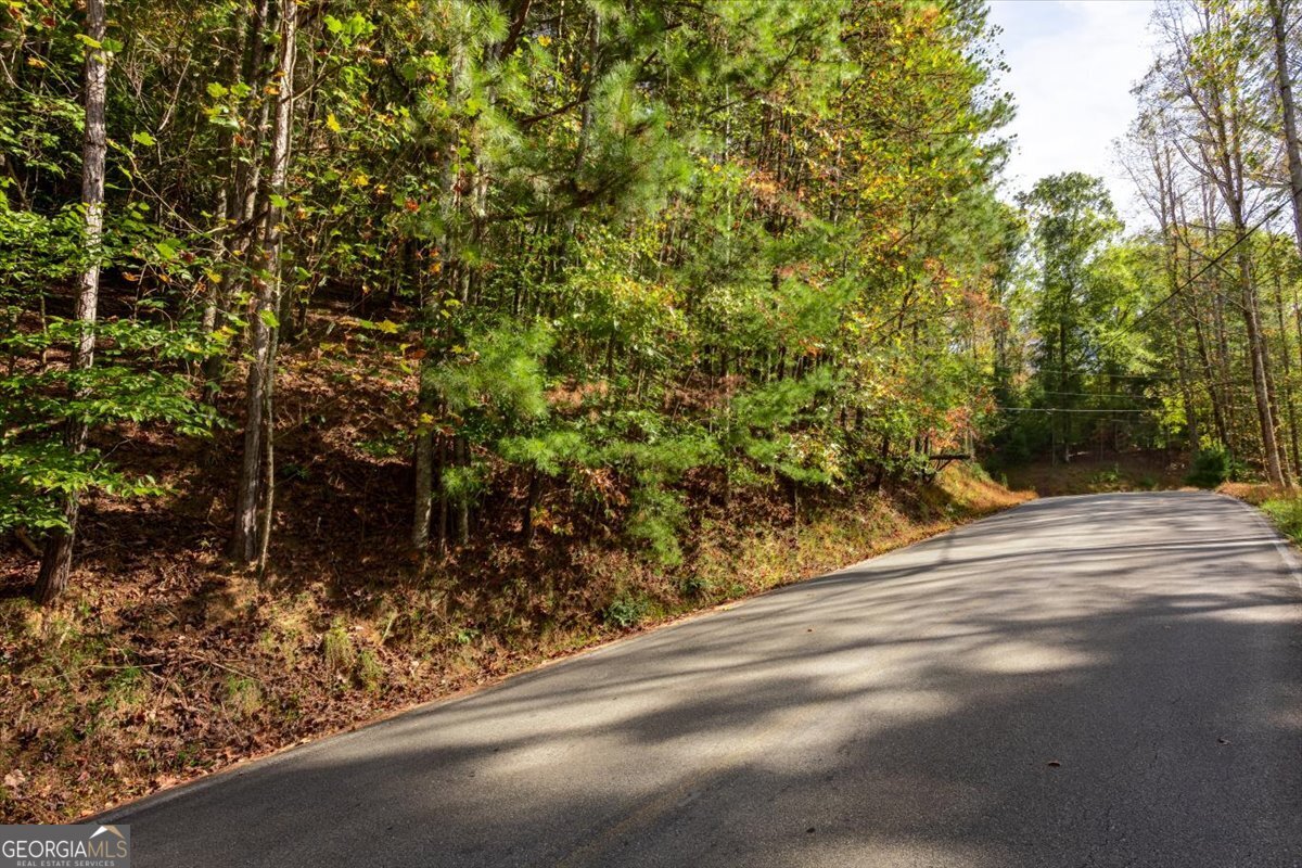Lt 3468 Eagle M Fir Lane Ellijay GA 30540