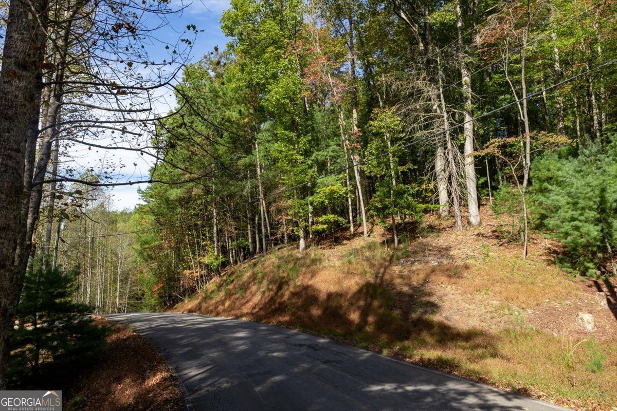Lt 3468 Eagle M Fir Lane Ellijay GA 30540