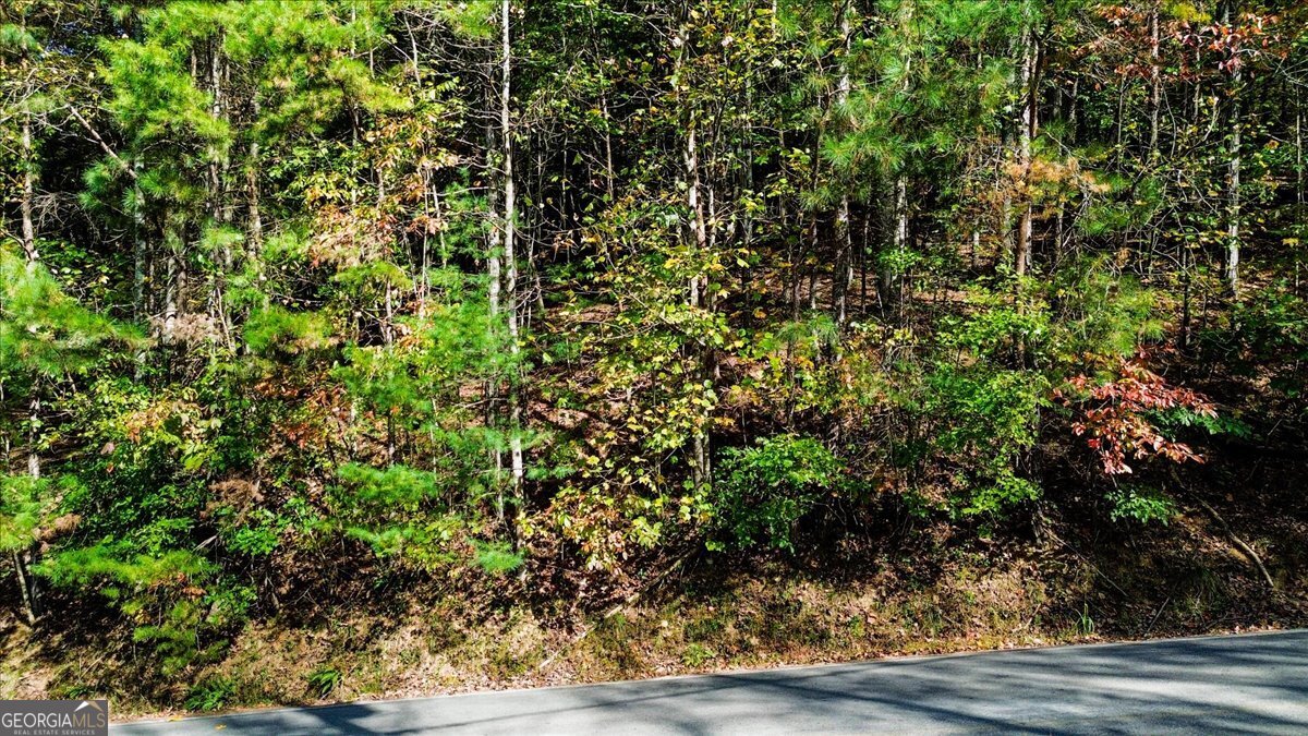 Lt 3468 Eagle M Fir Lane Ellijay GA 30540
