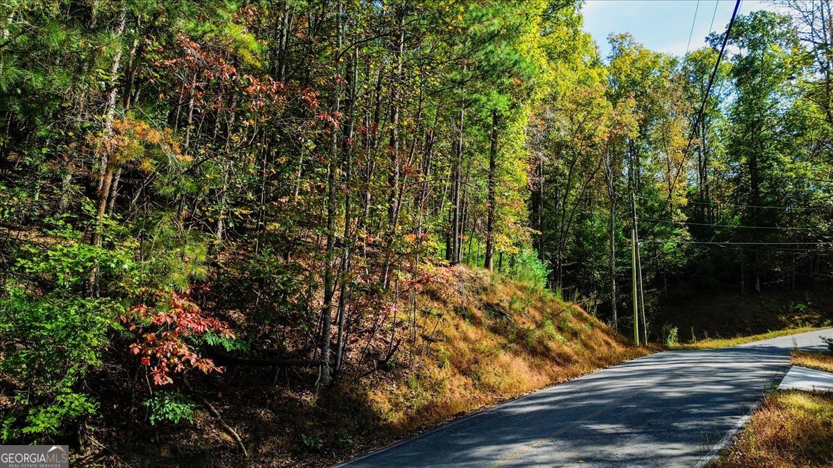 Lt 3468 Eagle M Fir Lane Ellijay GA 30540
