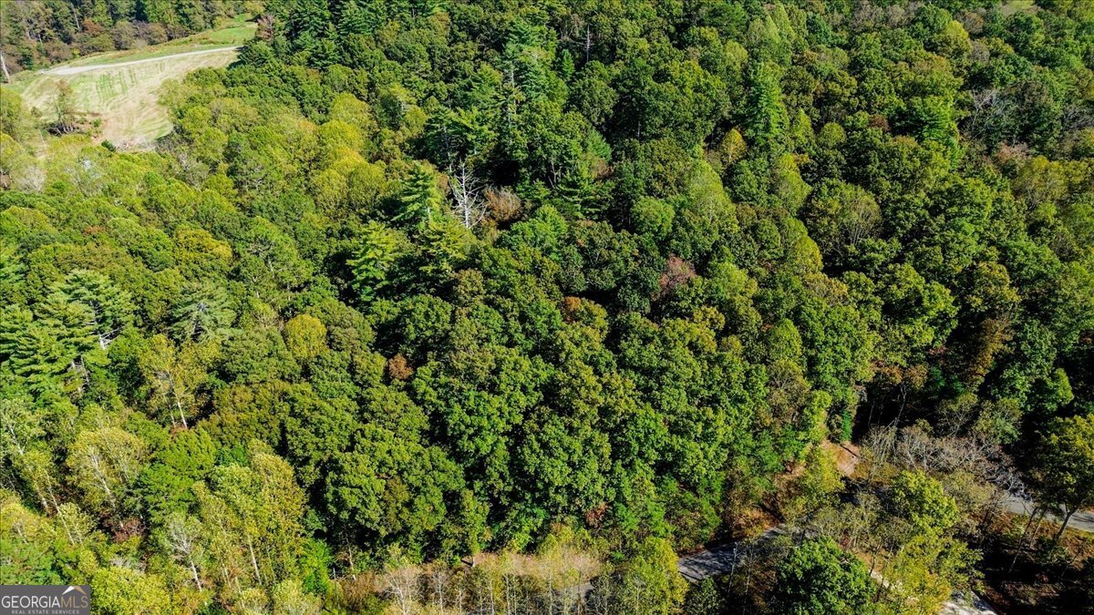Lt 3468 Eagle M Fir Lane Ellijay GA 30540