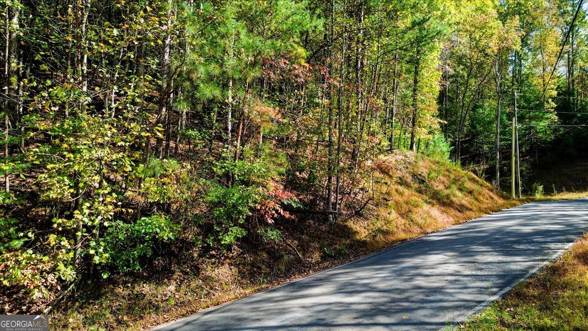 Lt 3468 Eagle M Fir Lane Ellijay GA 30540