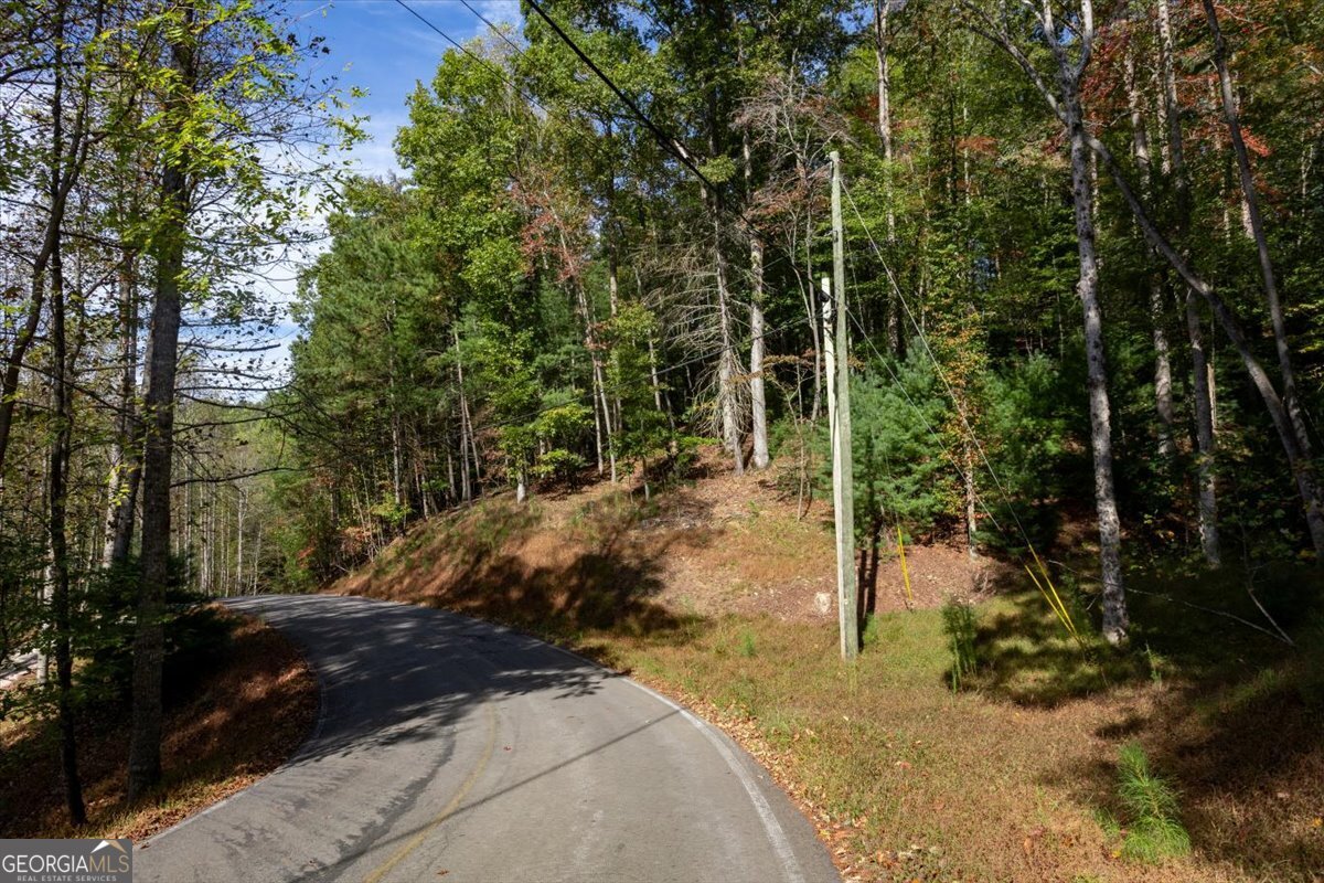 Lt 3468 Eagle M Fir Lane Ellijay GA 30540