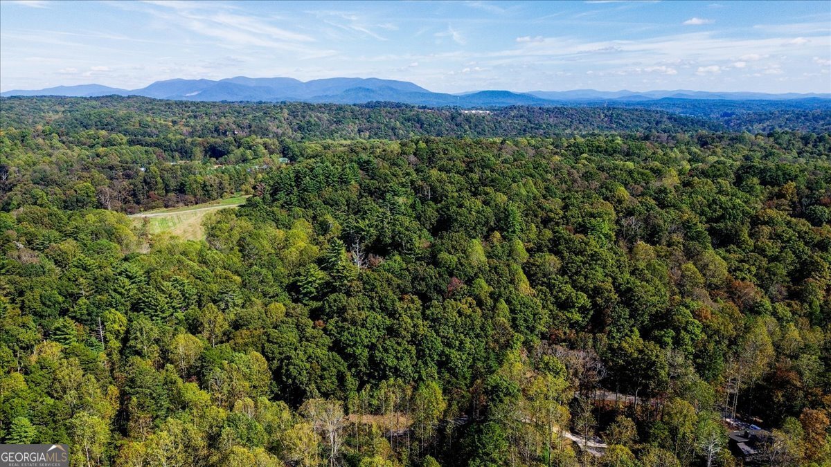 Lt 3468 Eagle M Fir Lane Ellijay GA 30540