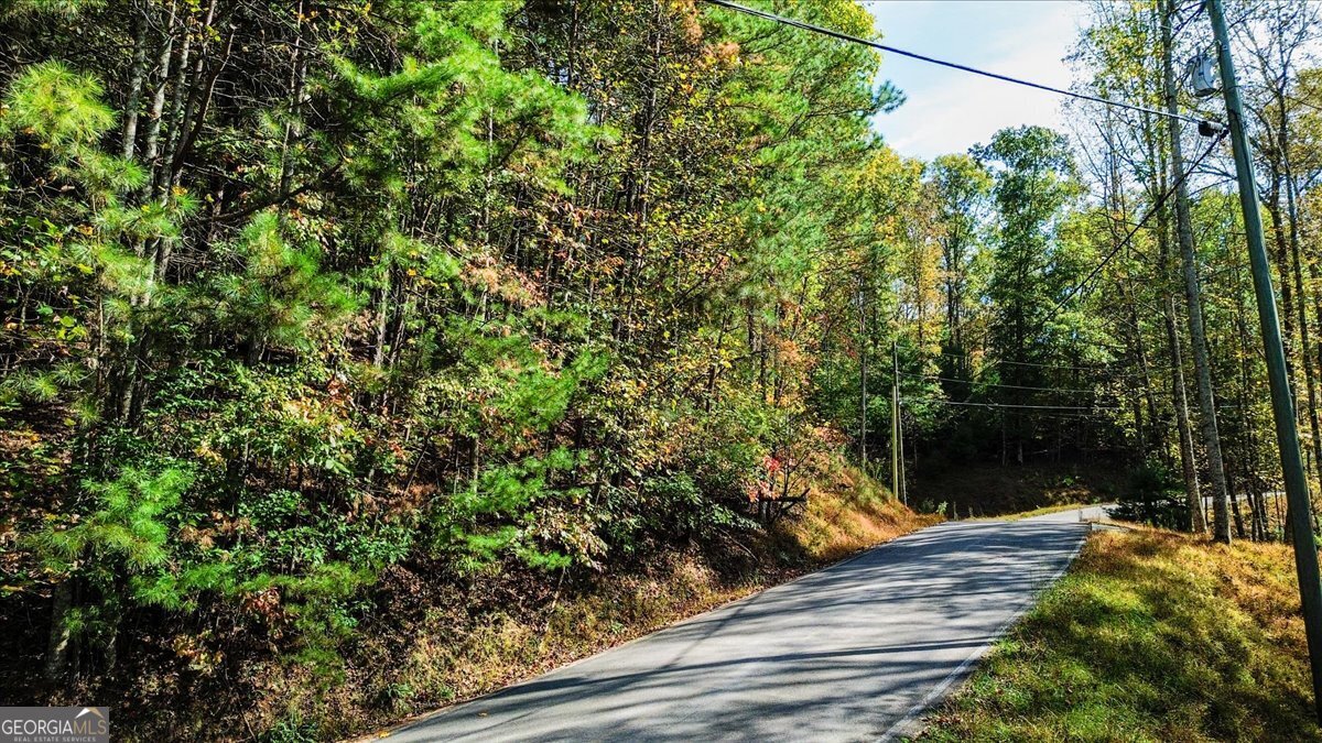 Lt 3468 Eagle M Fir Lane Ellijay GA 30540