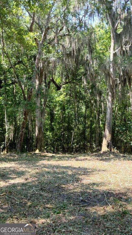 0 Briar Patch Lot#27 Place Townsend GA 31331