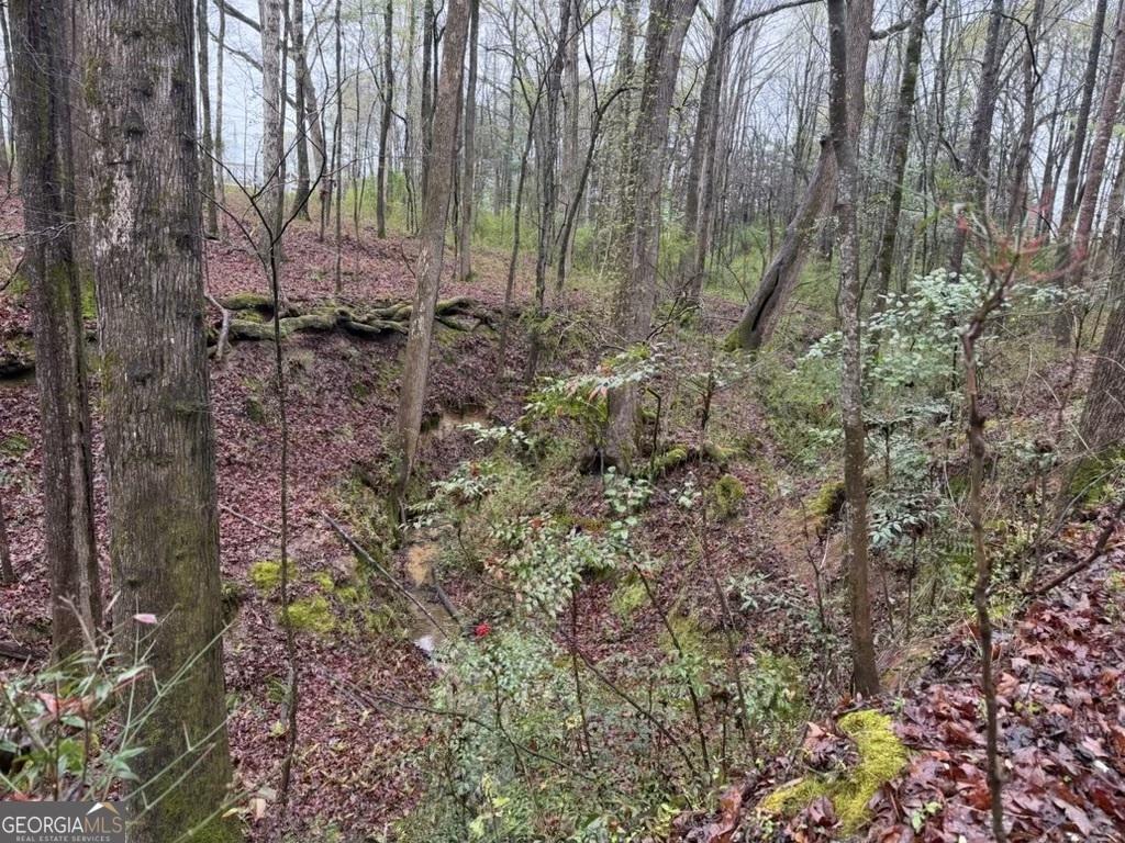 1791 Mcress Gin Road Watkinsville GA 30677