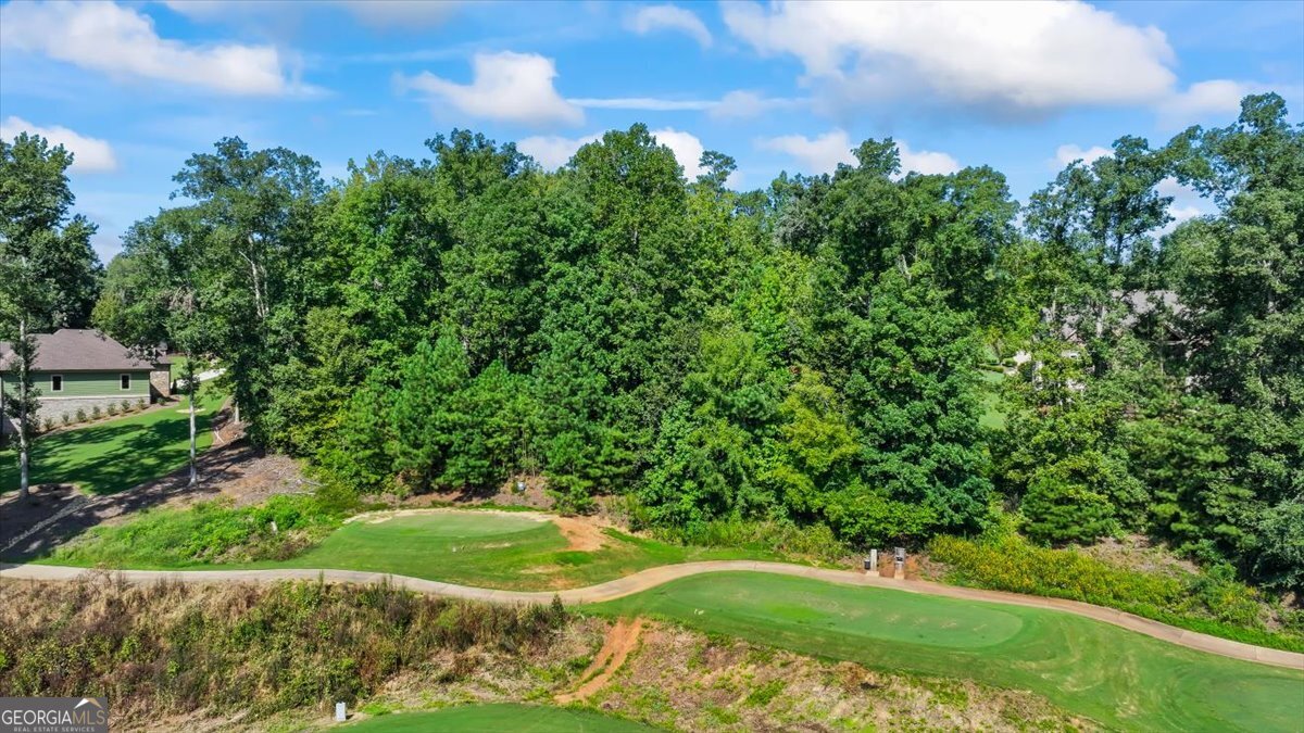 105 Birch Circle Forsyth GA 31029