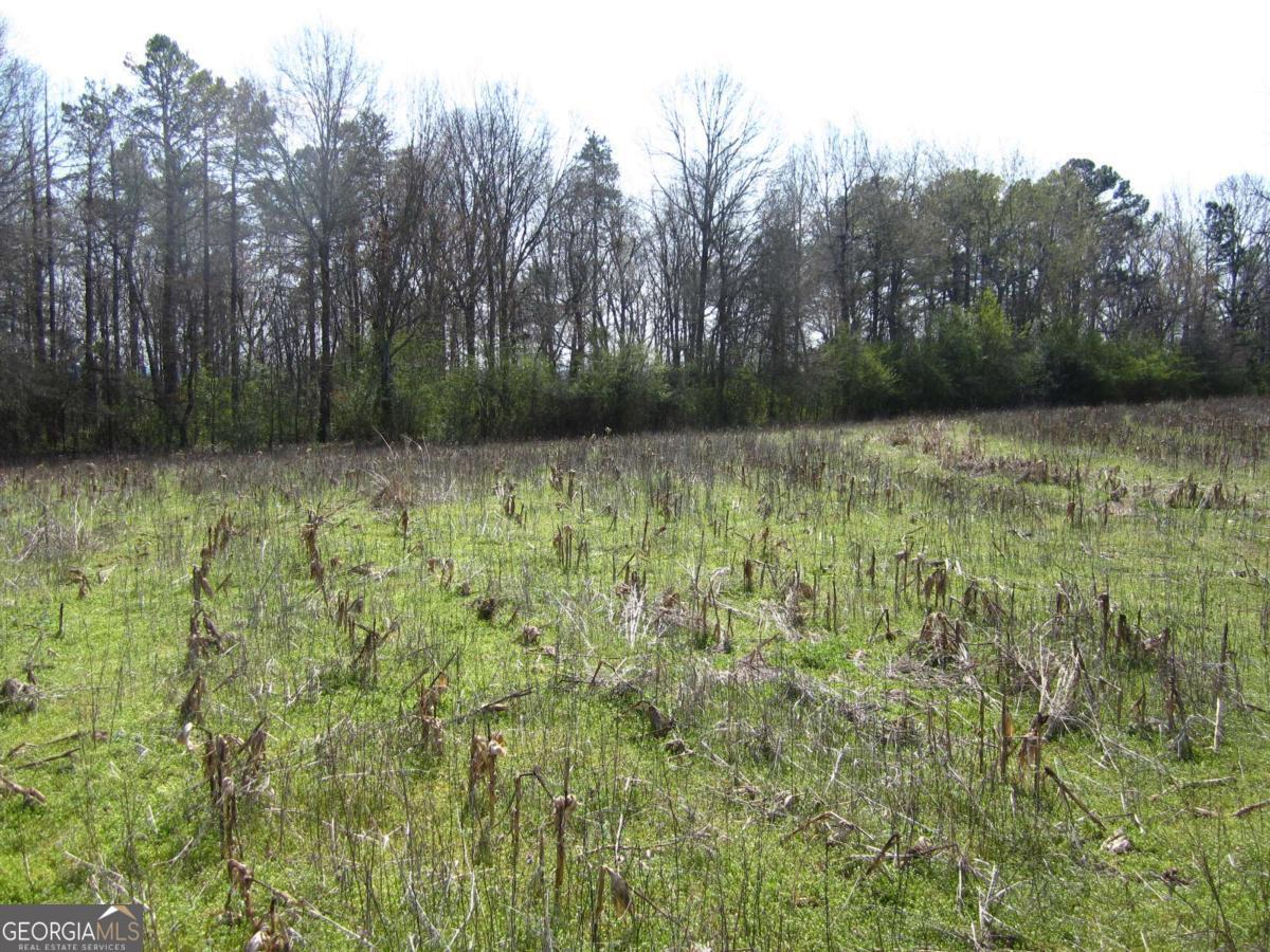 7770 Old Keith Bridge Road Gainesville GA 30506