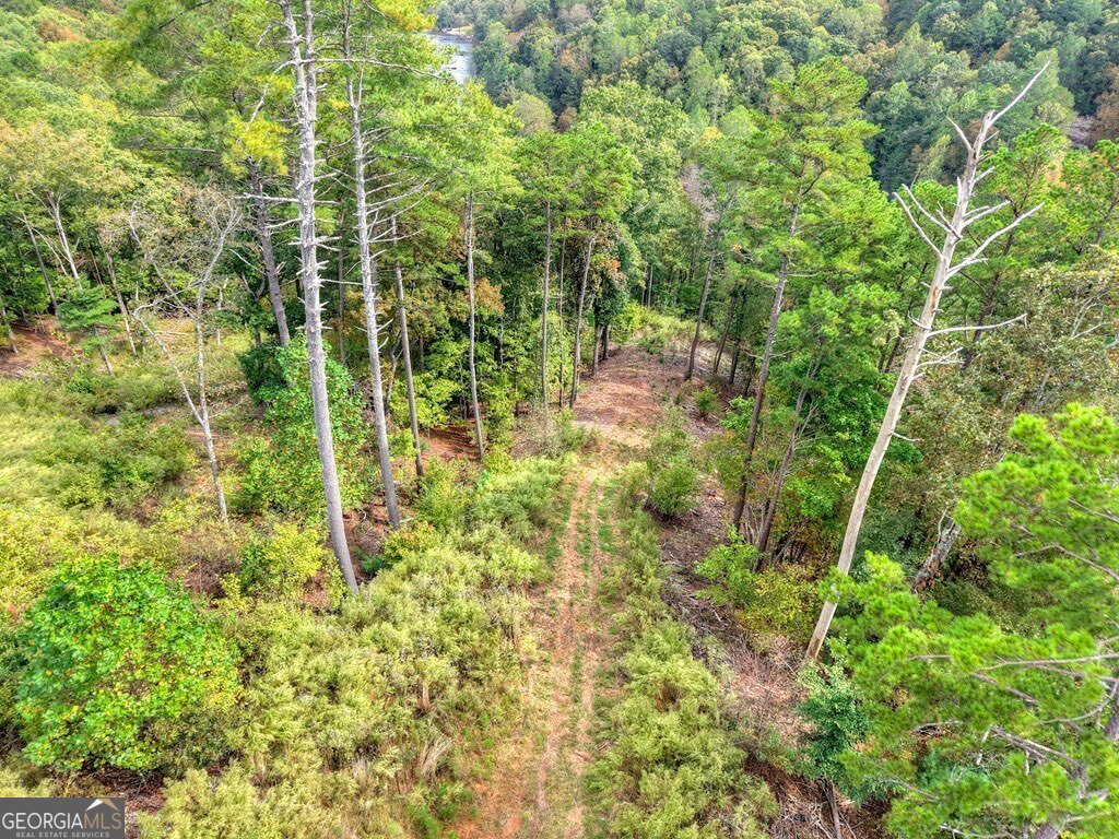 Lt 269 River View Trail Ellijay GA 30540