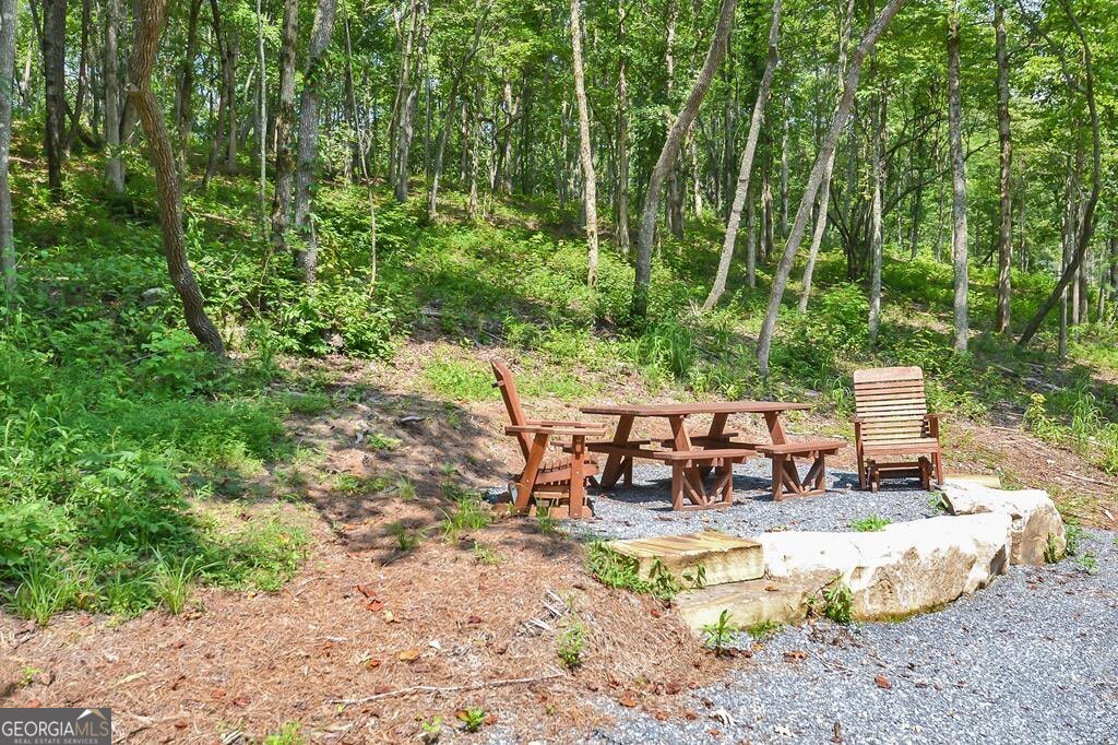 Lt 269 River View Trail Ellijay GA 30540