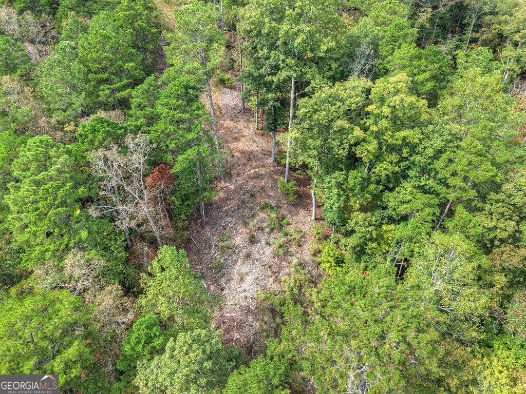 Lt 269 River View Trail Ellijay GA 30540