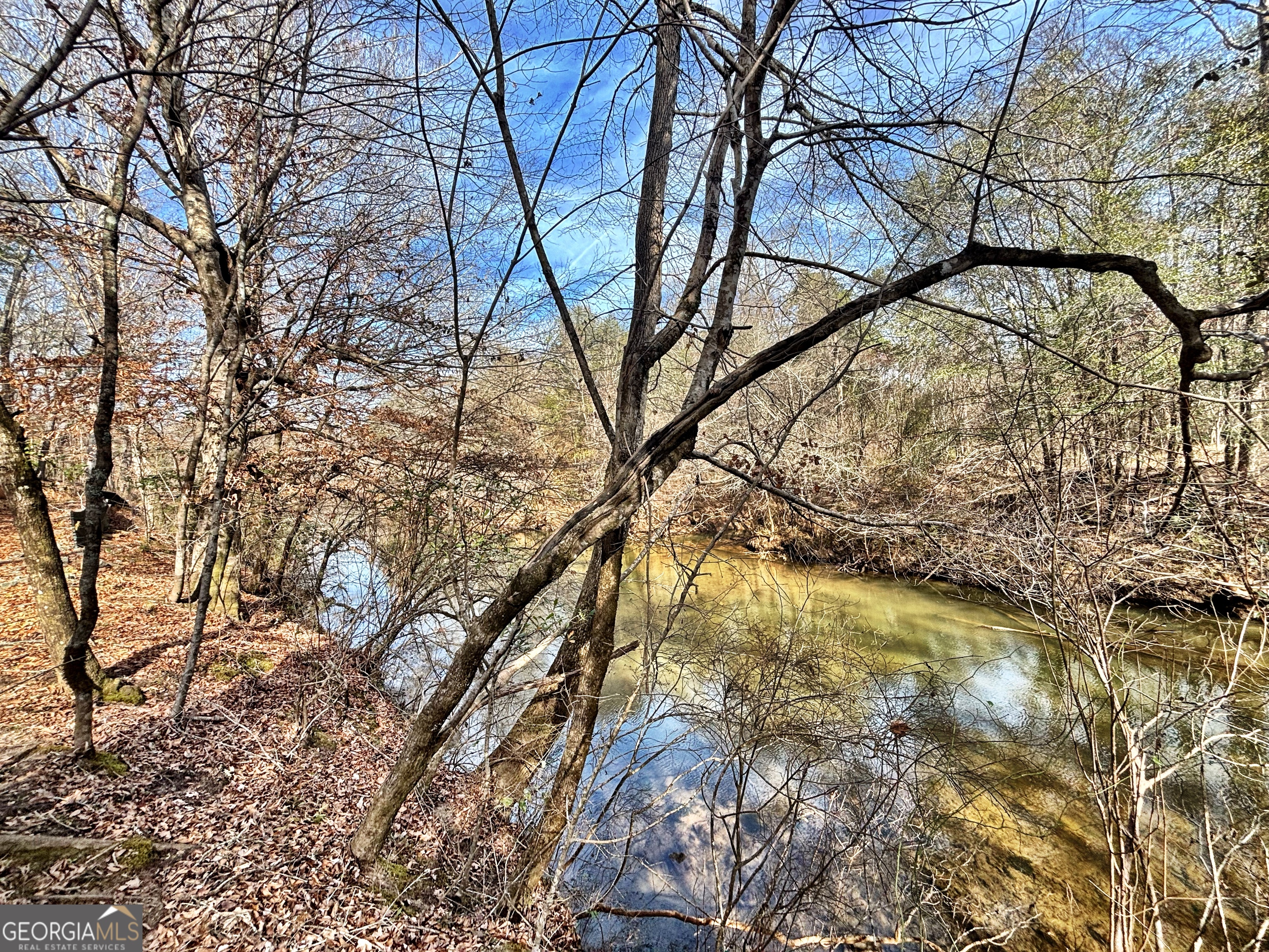 6411 Columbus Road Lizella GA 31052