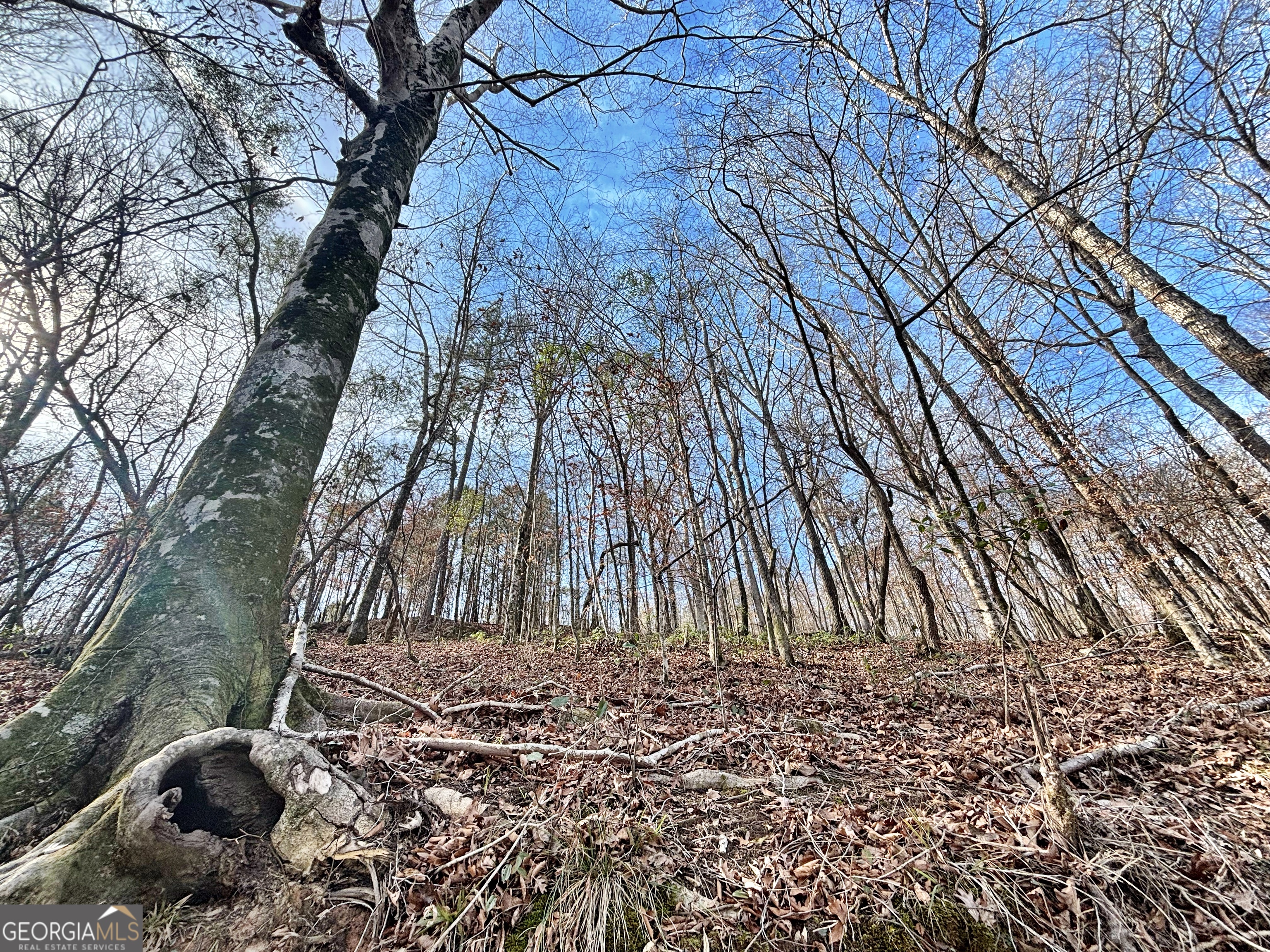 6411 Columbus Road Lizella GA 31052