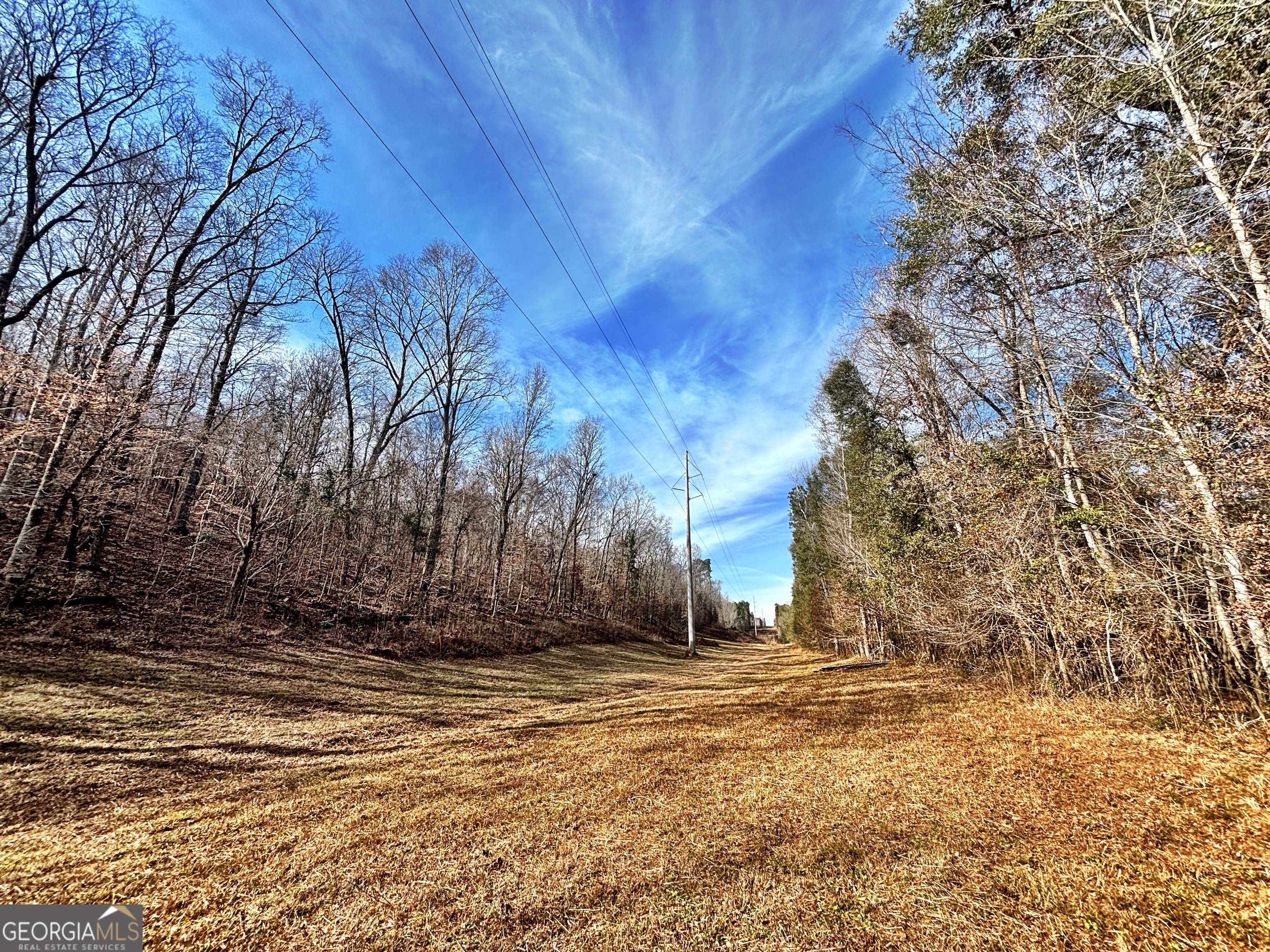 6411 Columbus Road Lizella GA 31052