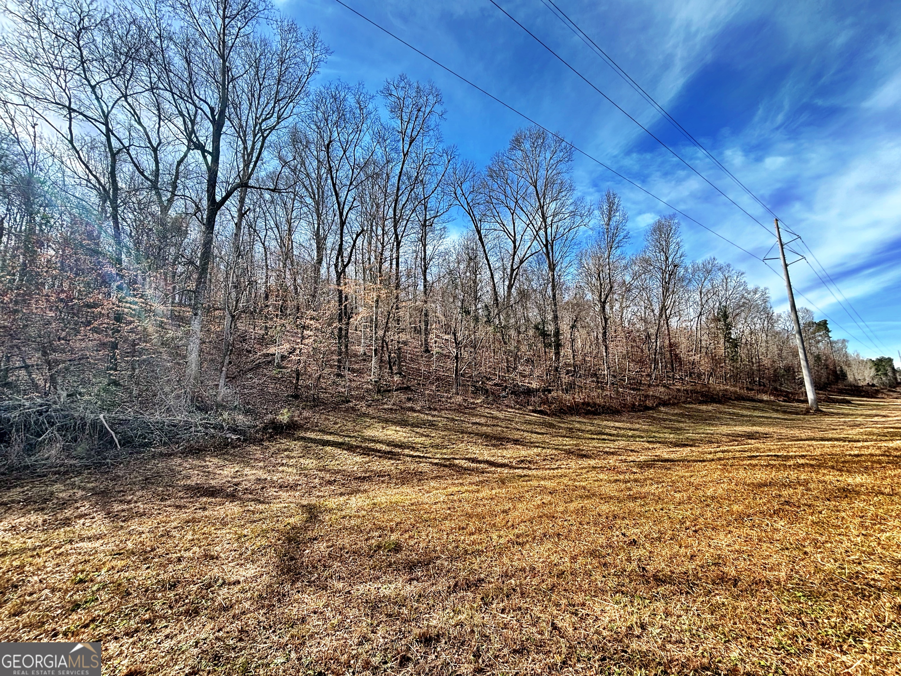 6411 Columbus Road Lizella GA 31052
