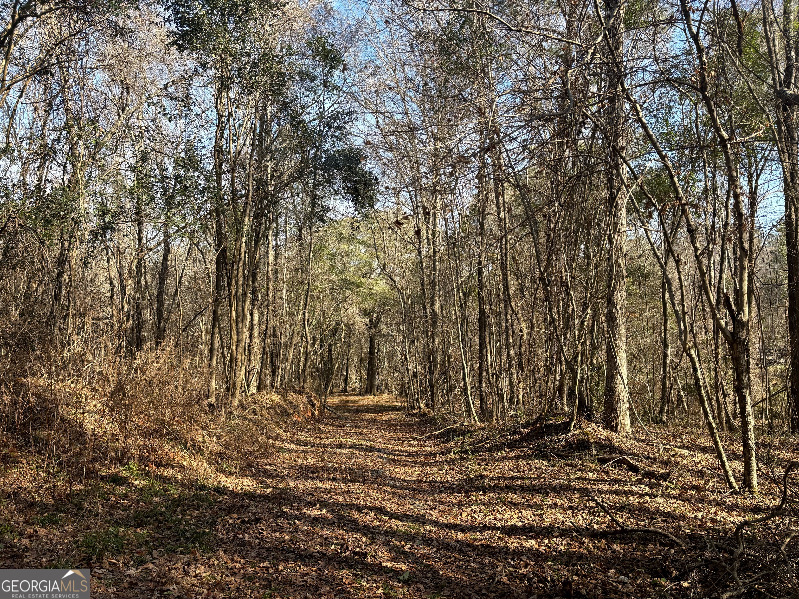 6411 Columbus Road Lizella GA 31052