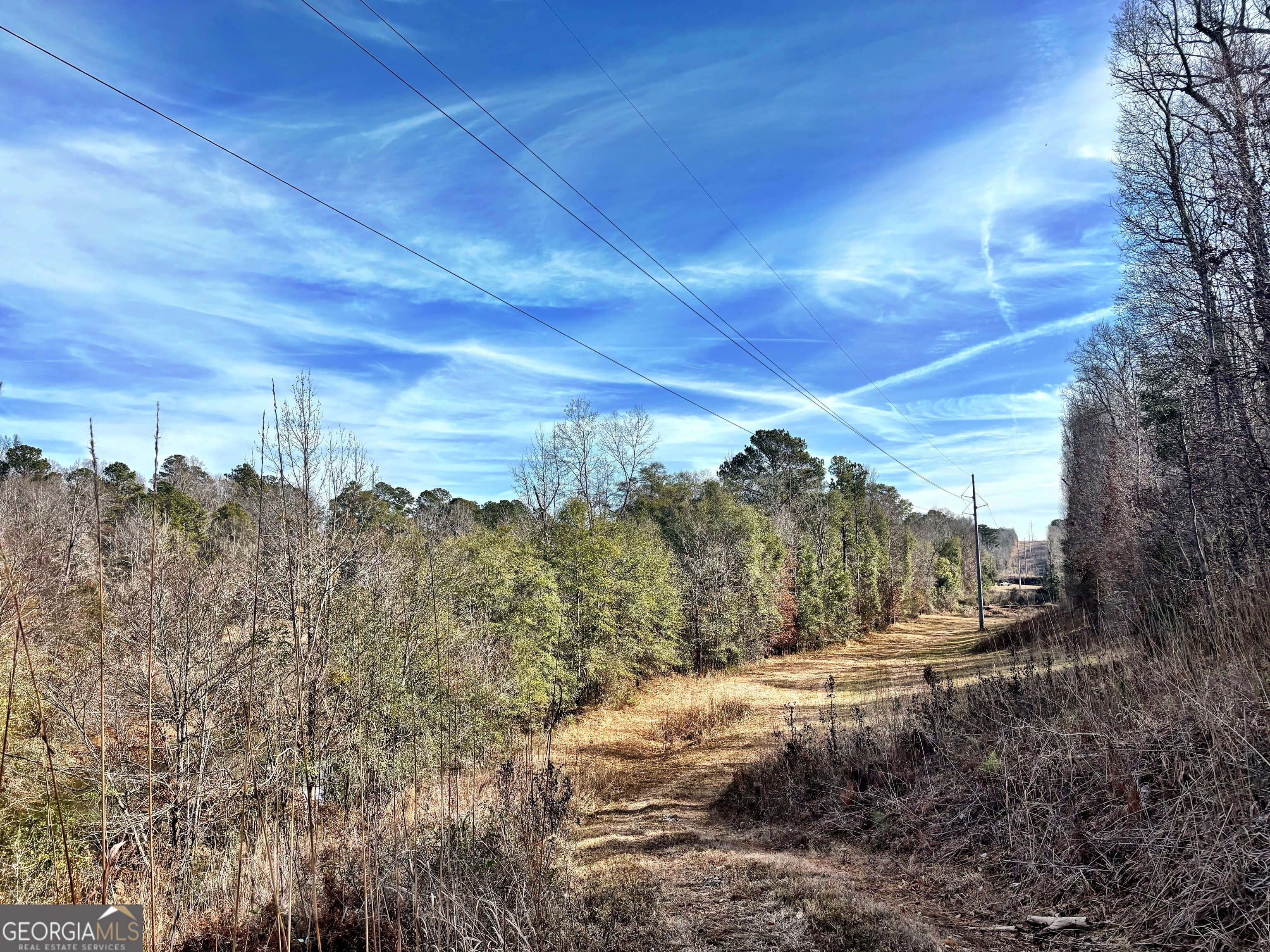 6411 Columbus Road Lizella GA 31052