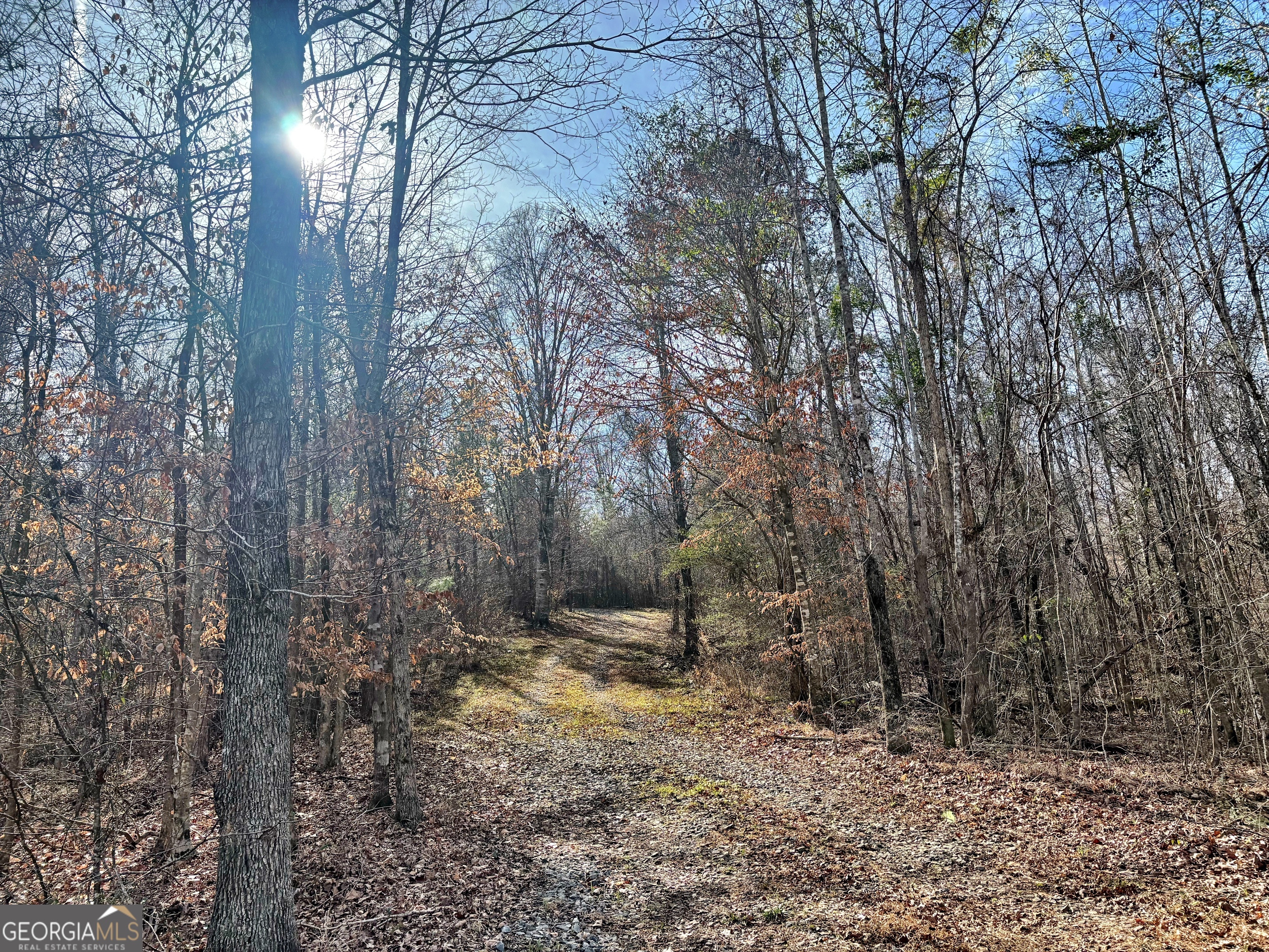 6411 Columbus Road Lizella GA 31052