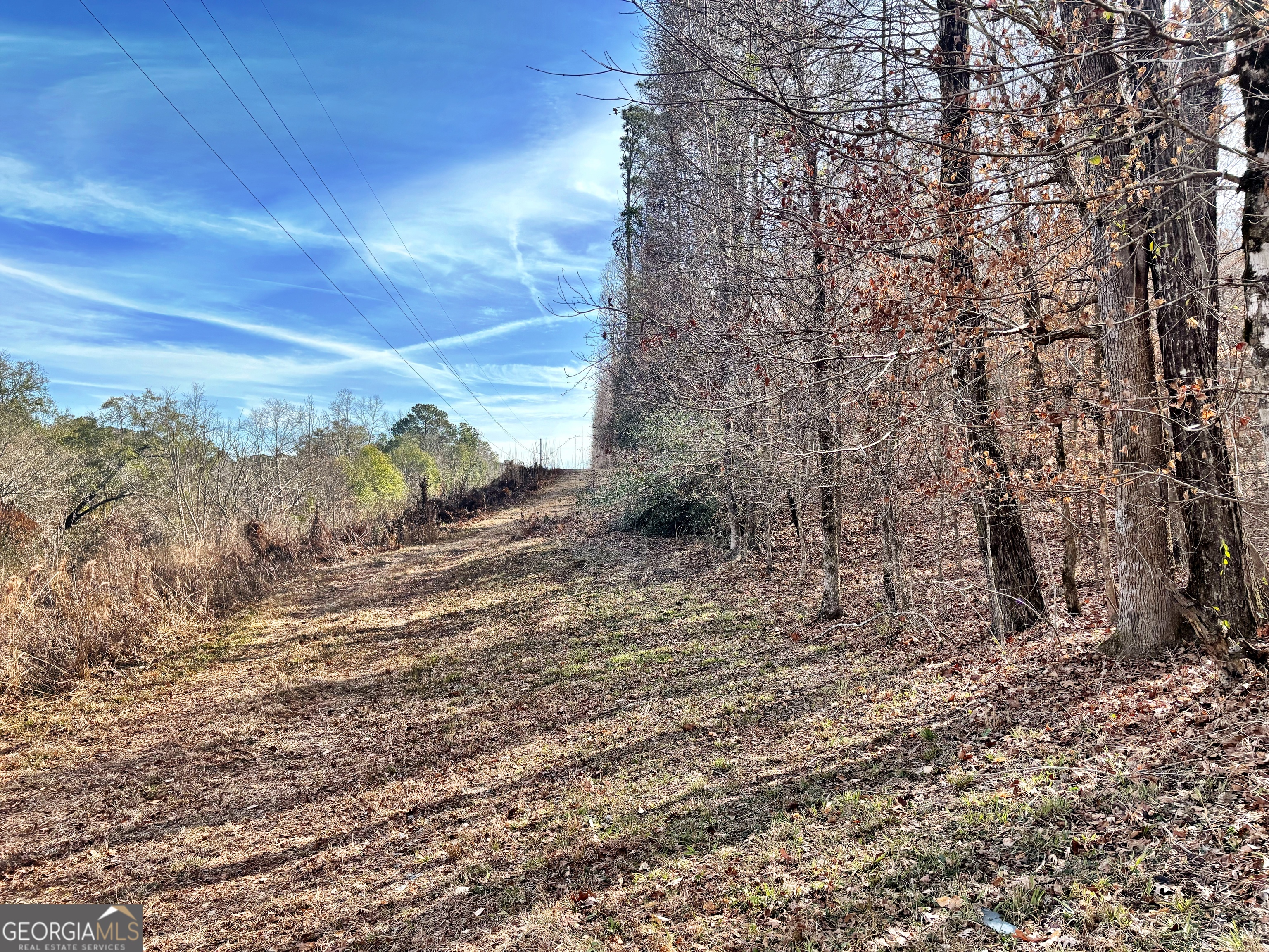 6411 Columbus Road Lizella GA 31052
