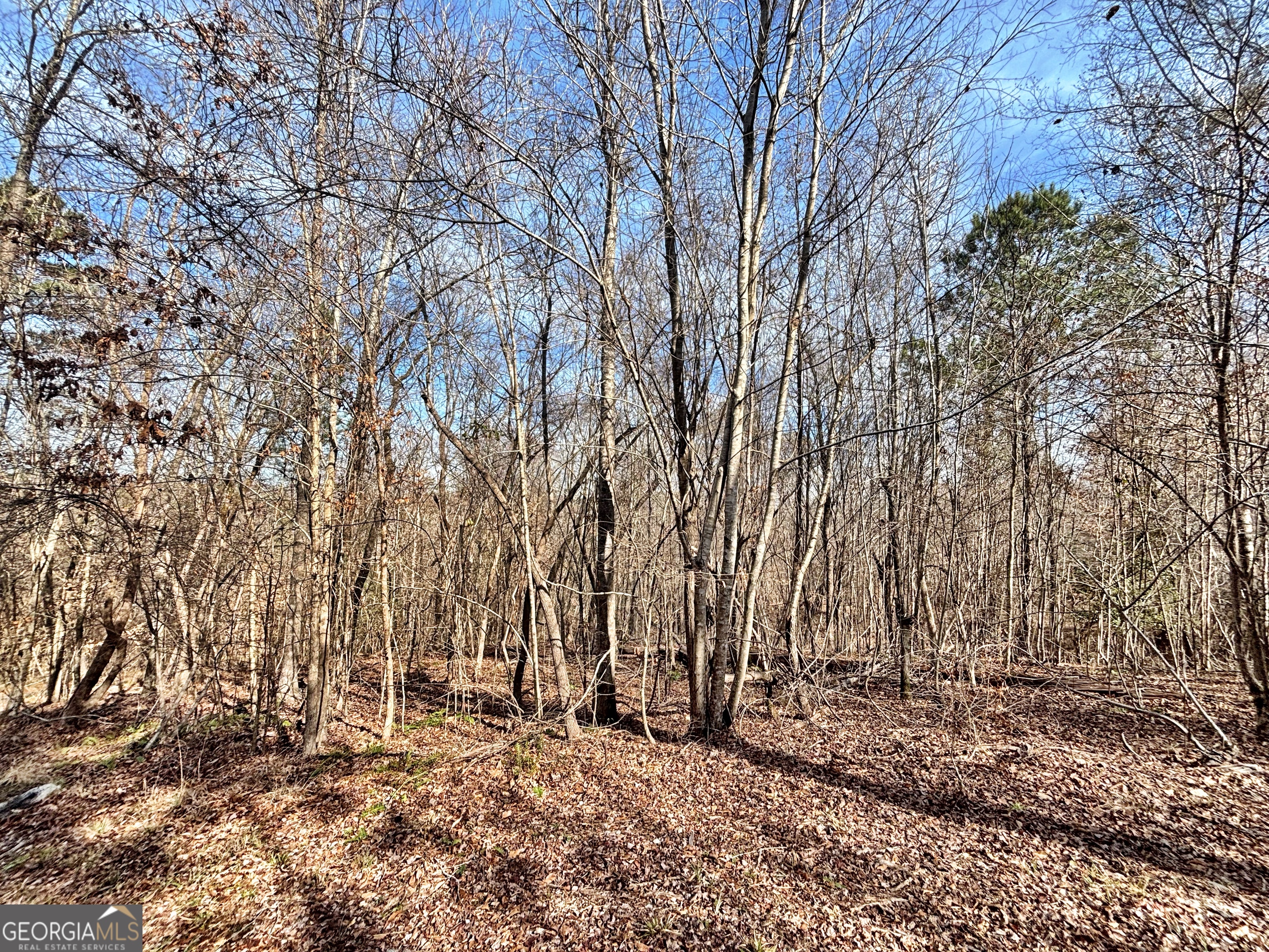 6411 Columbus Road Lizella GA 31052