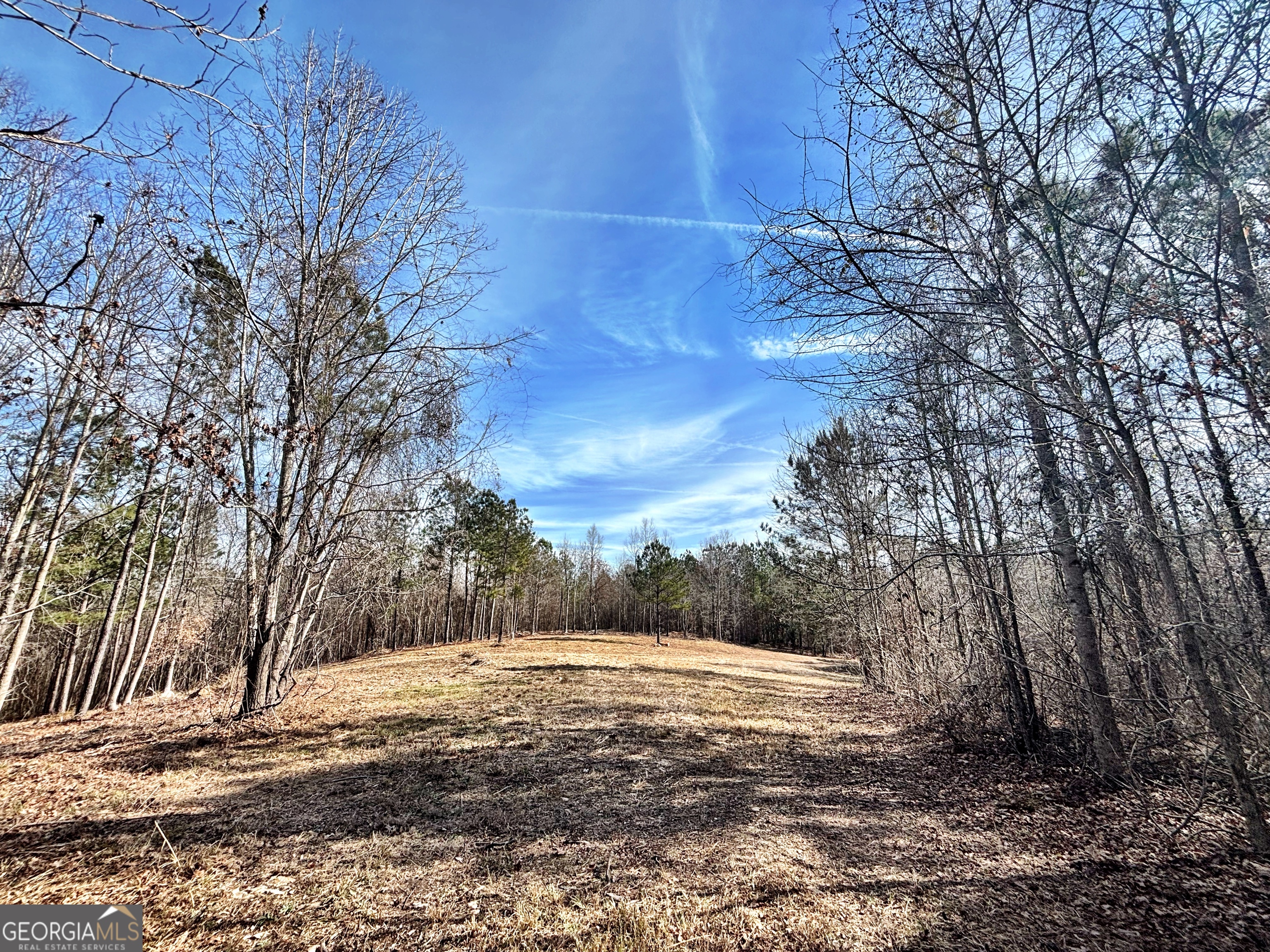 6411 Columbus Road Lizella GA 31052