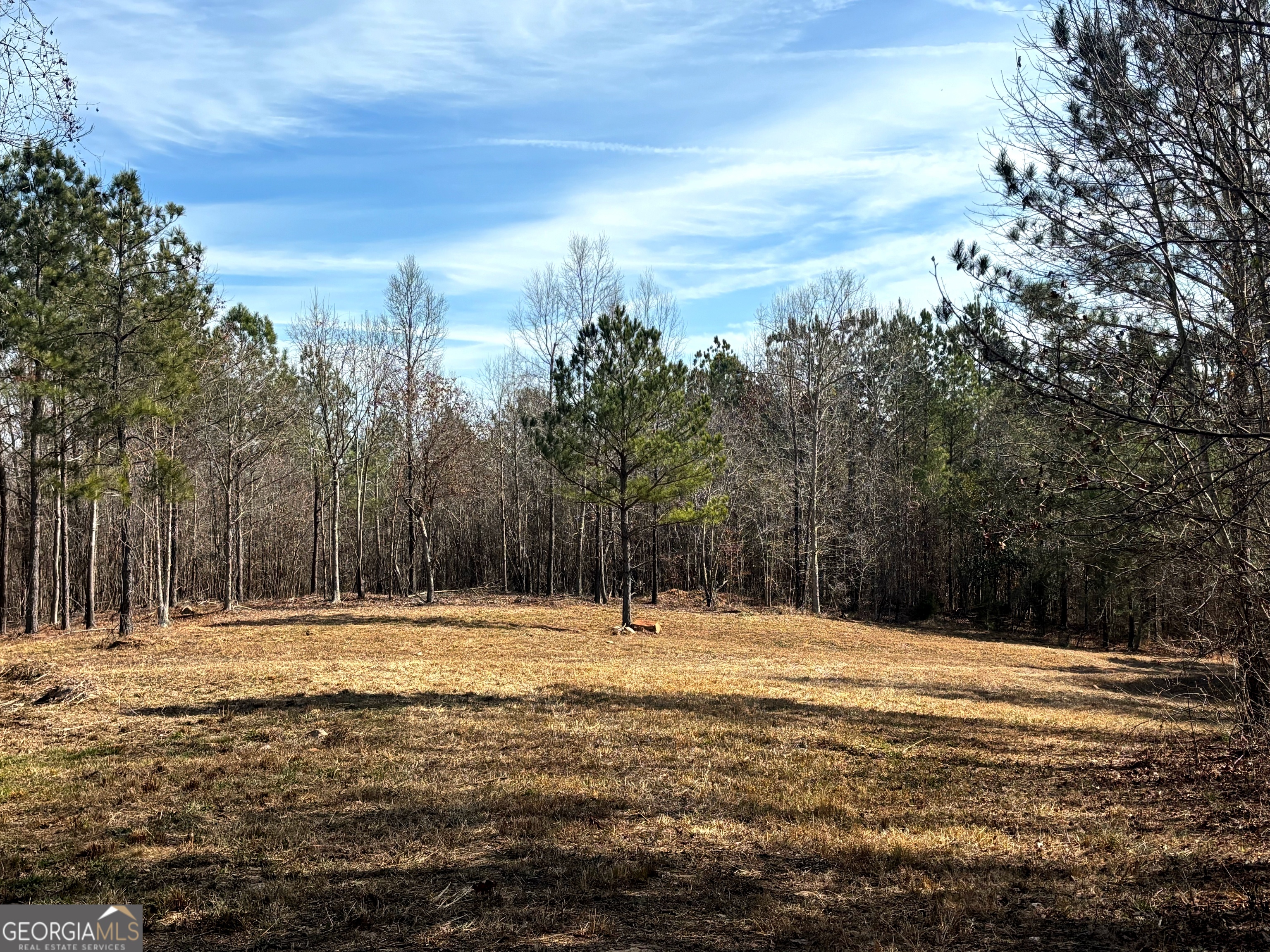 6411 Columbus Road Lizella GA 31052