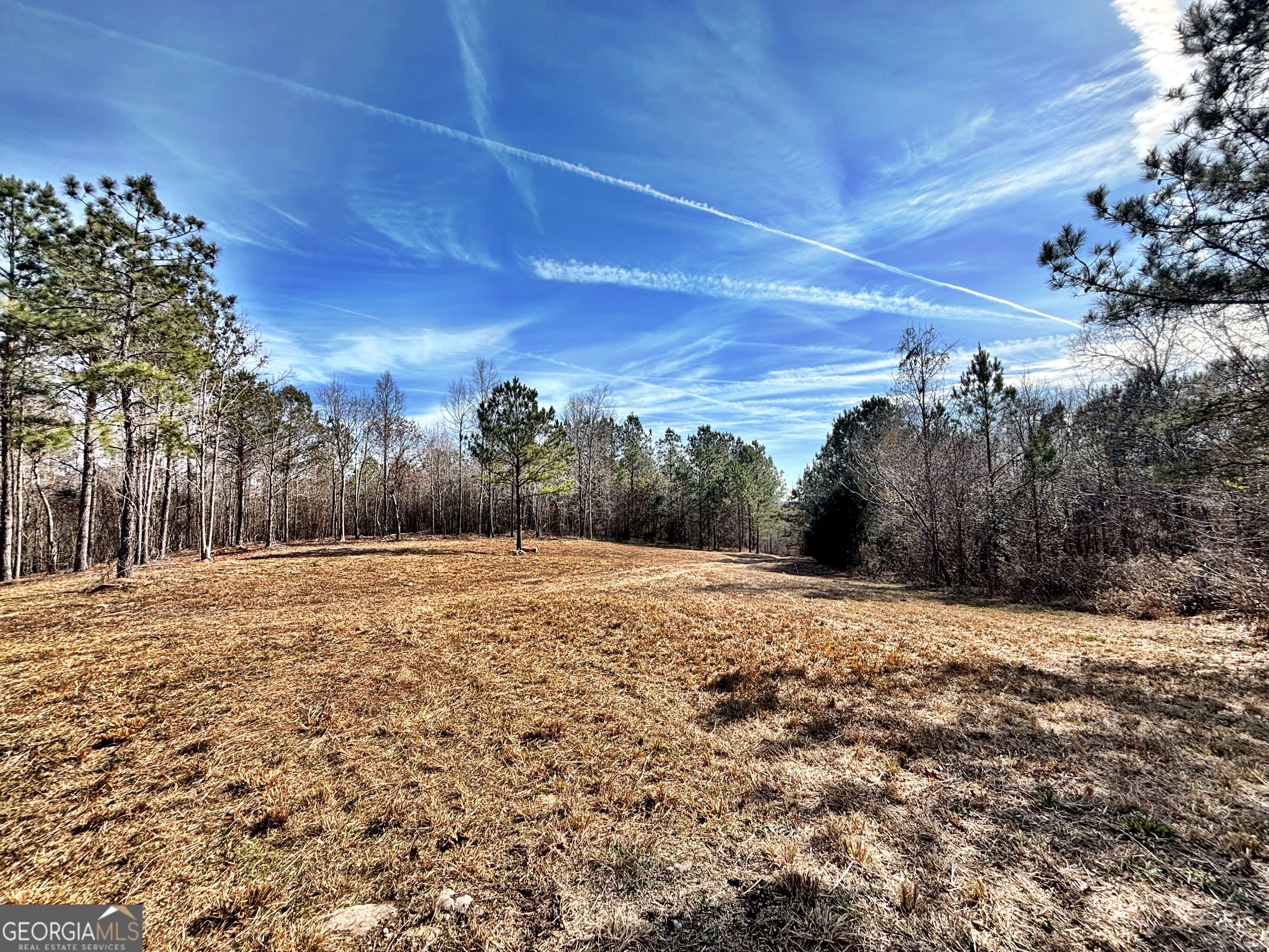 6411 Columbus Road Lizella GA 31052