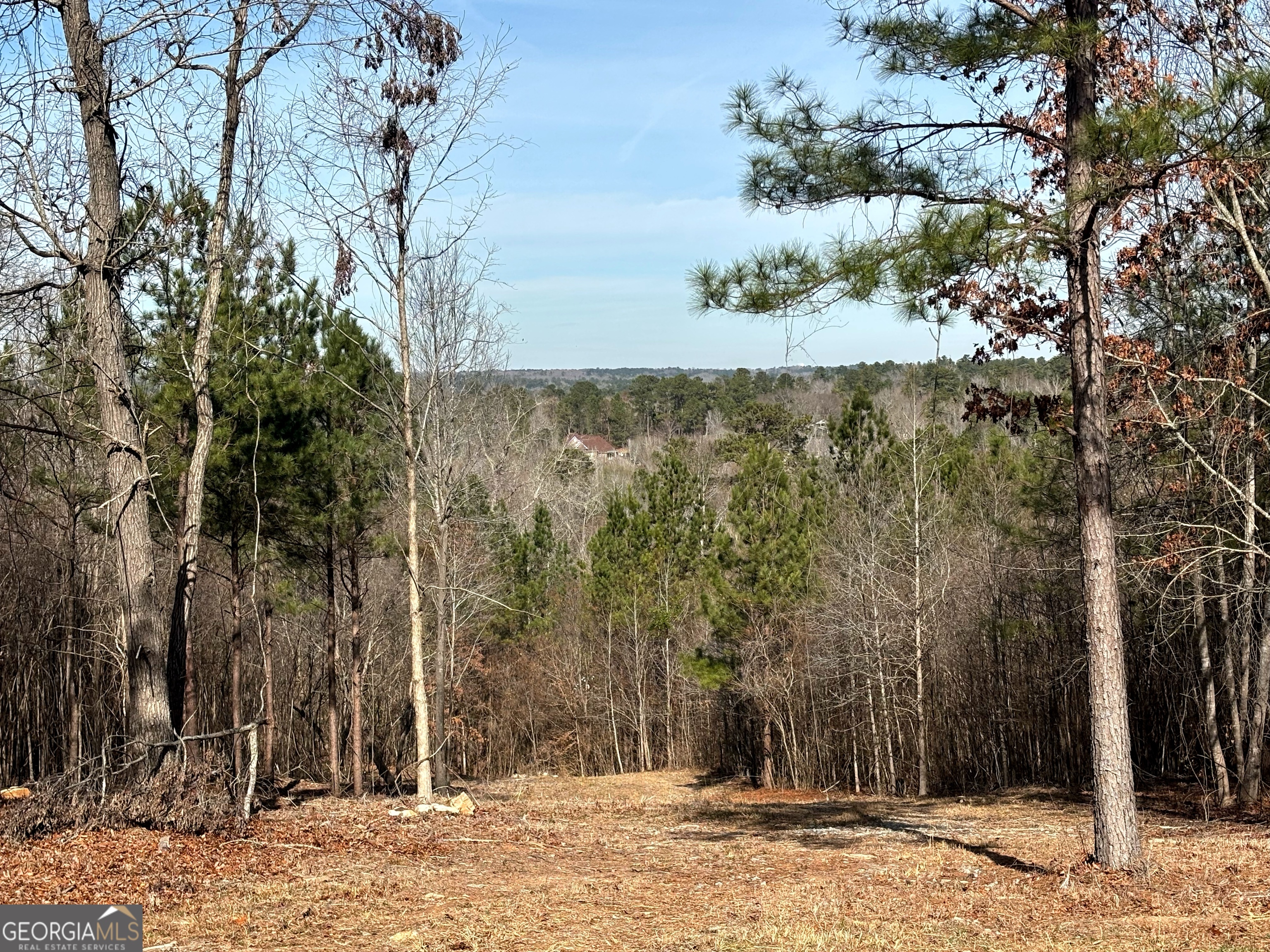 6411 Columbus Road Lizella GA 31052