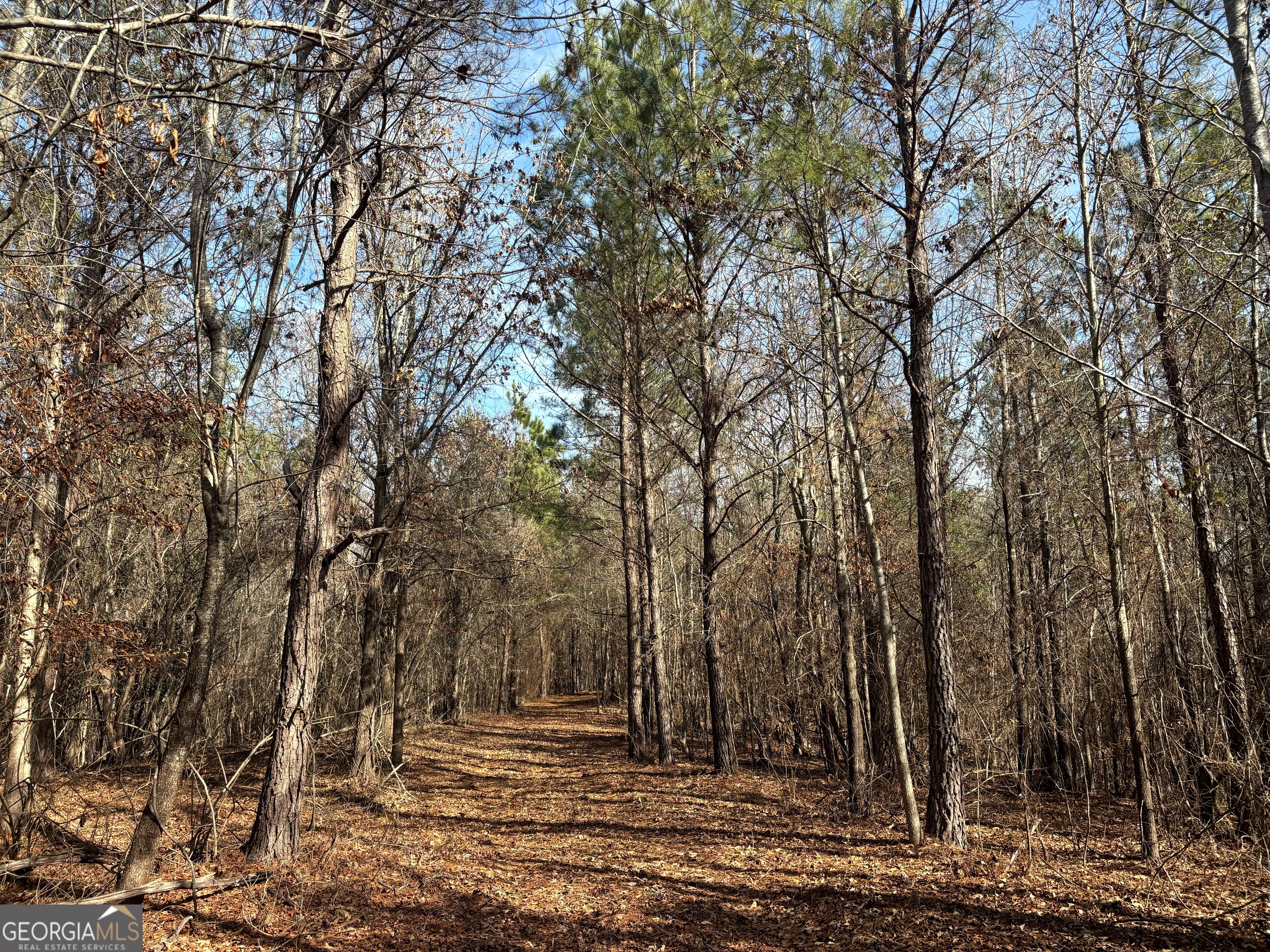 6411 Columbus Road Lizella GA 31052