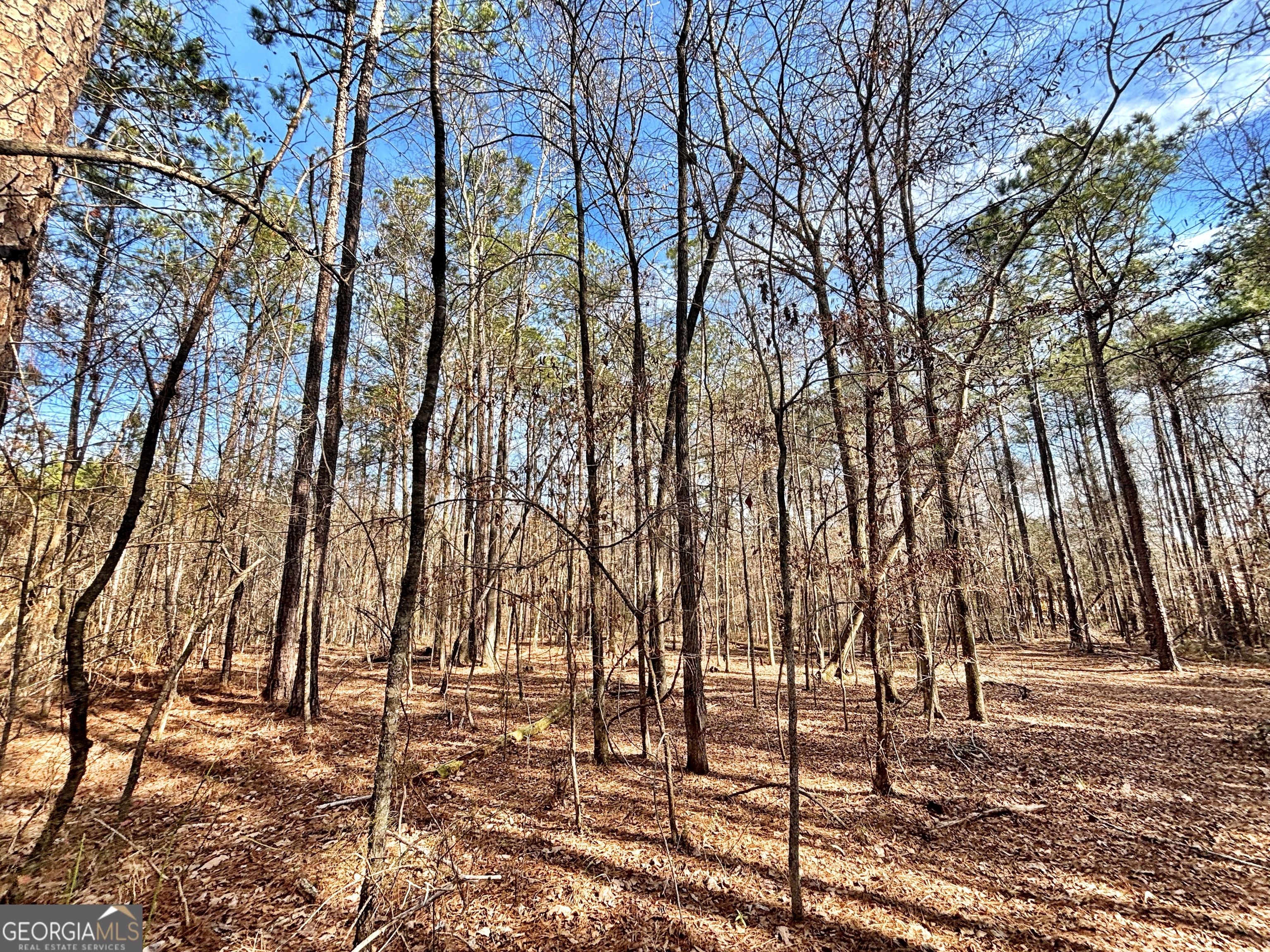 6411 Columbus Road Lizella GA 31052