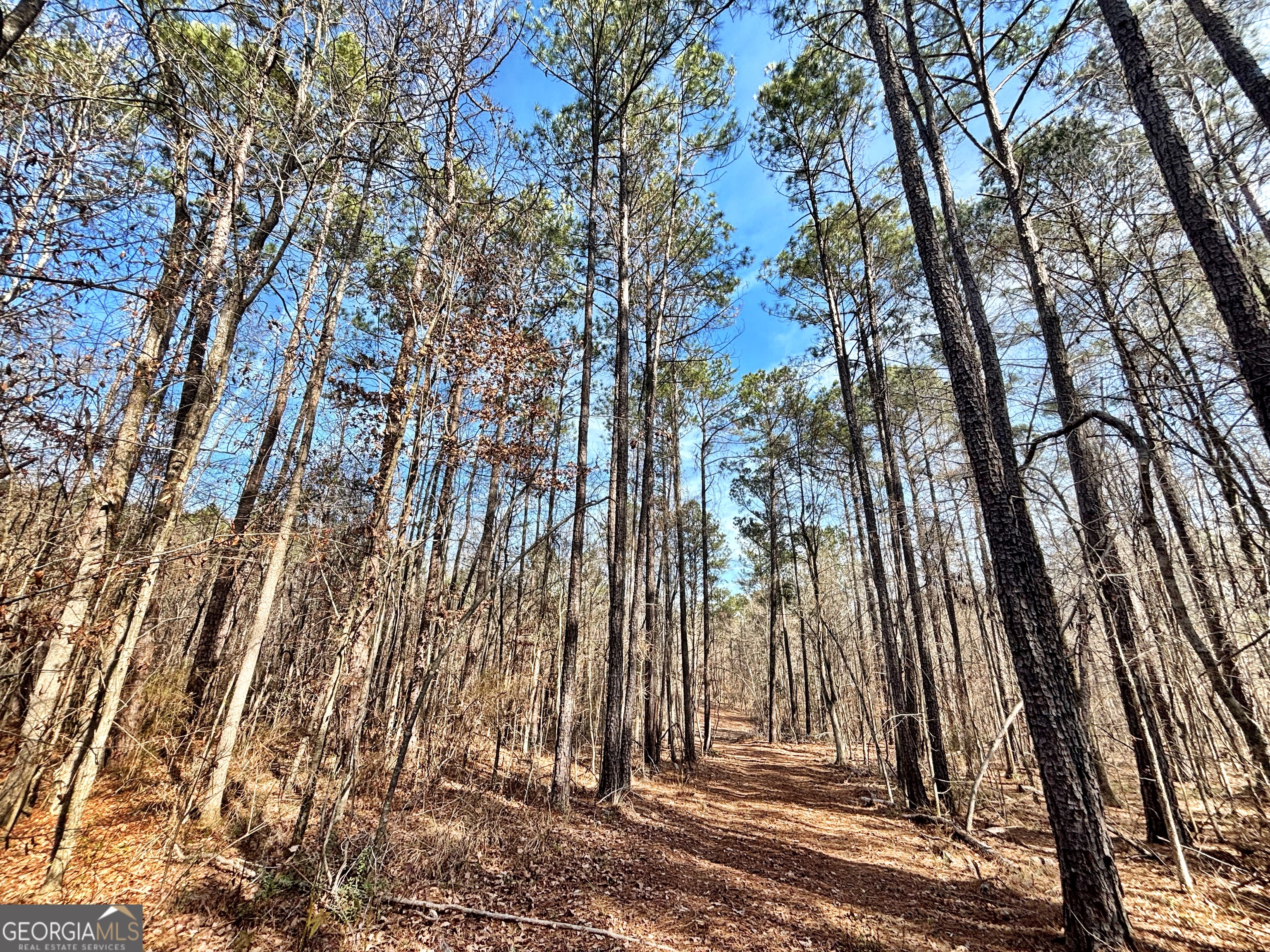 6411 Columbus Road Lizella GA 31052