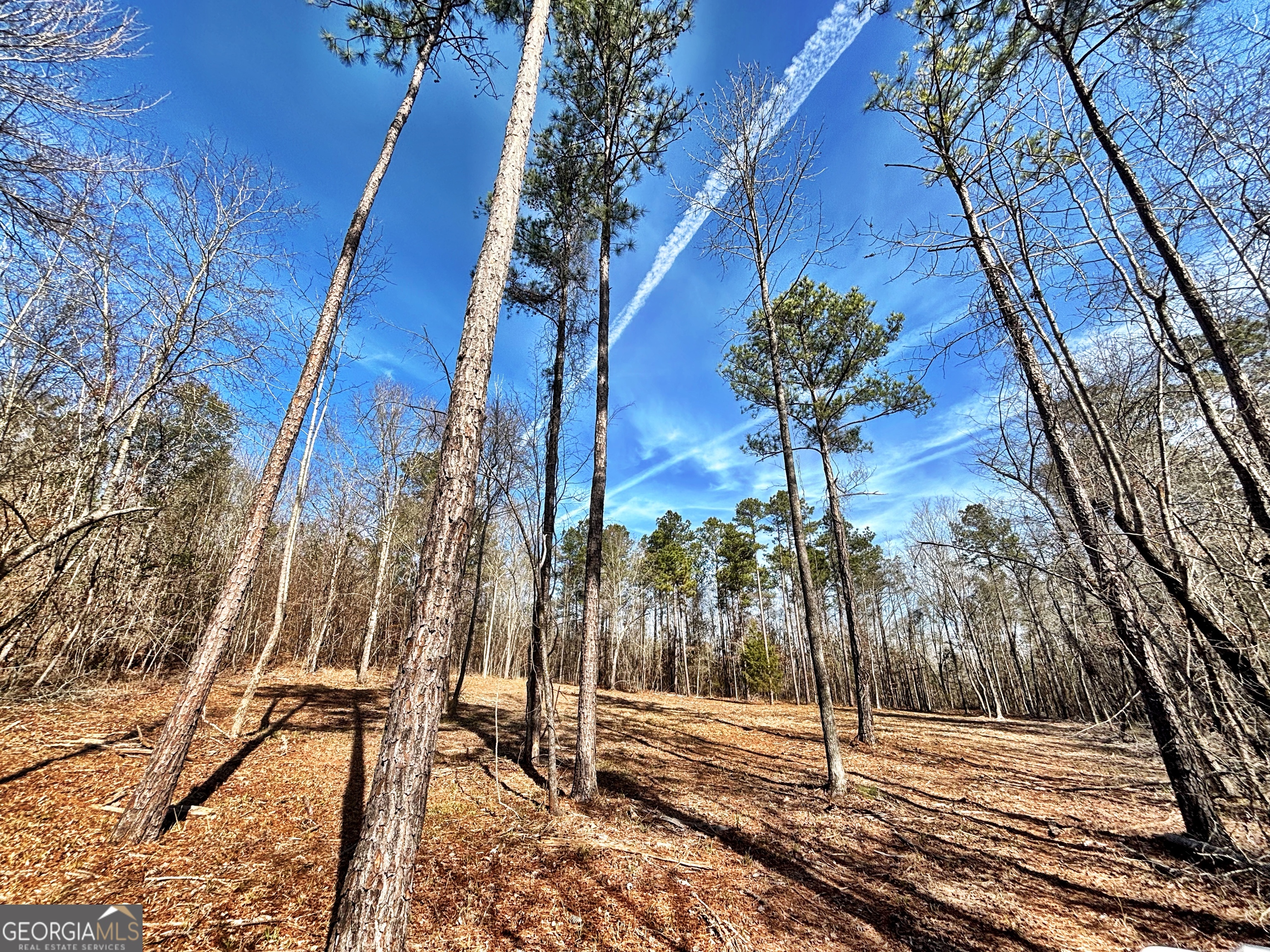 6411 Columbus Road Lizella GA 31052