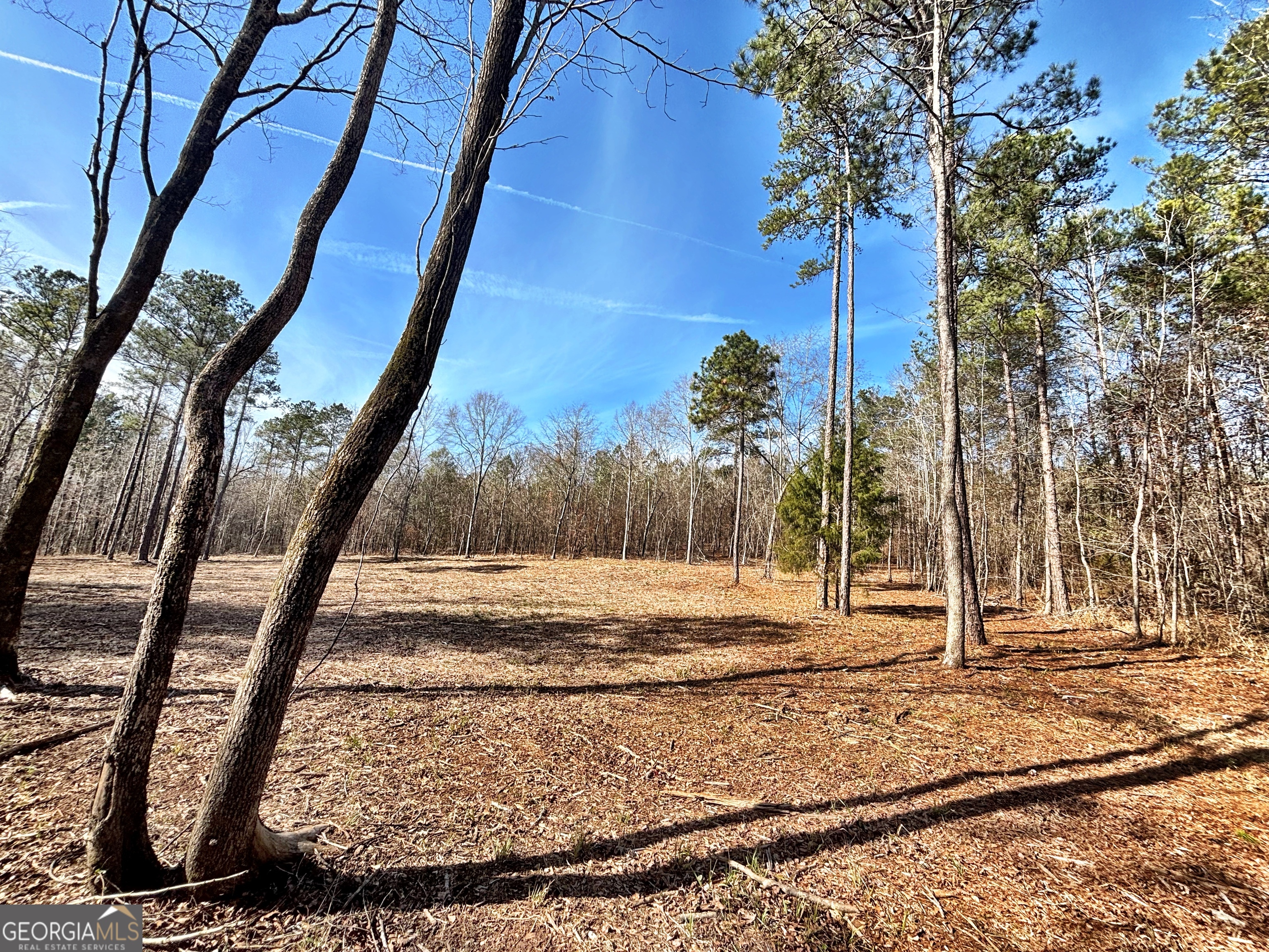 6411 Columbus Road Lizella GA 31052