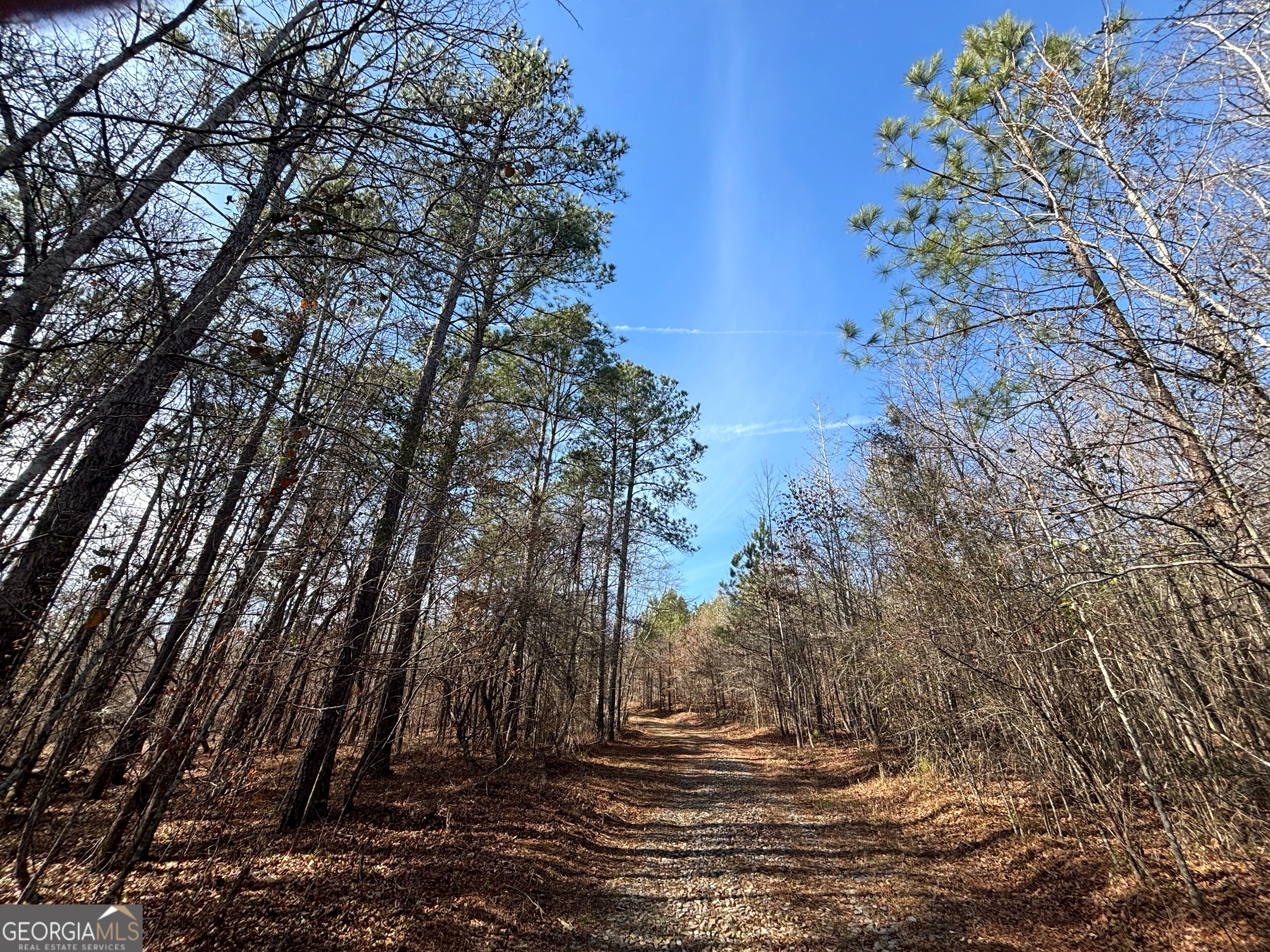 6411 Columbus Road Lizella GA 31052