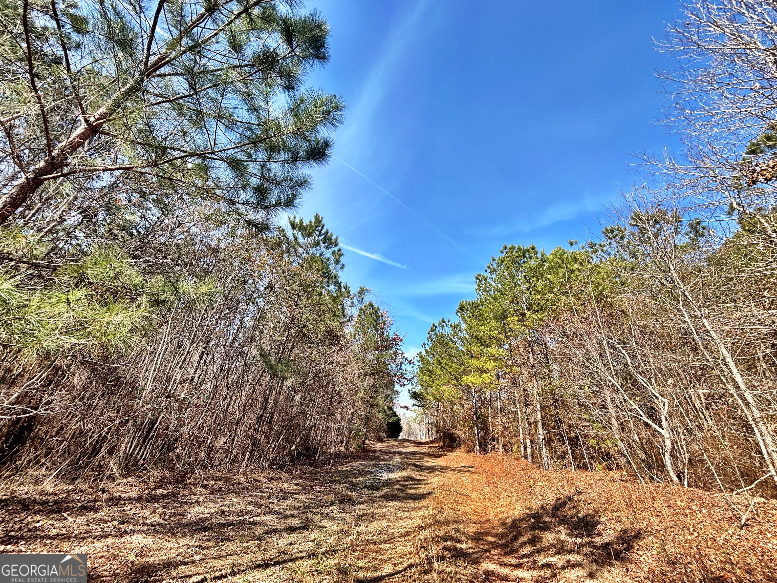 6411 Columbus Road Lizella GA 31052