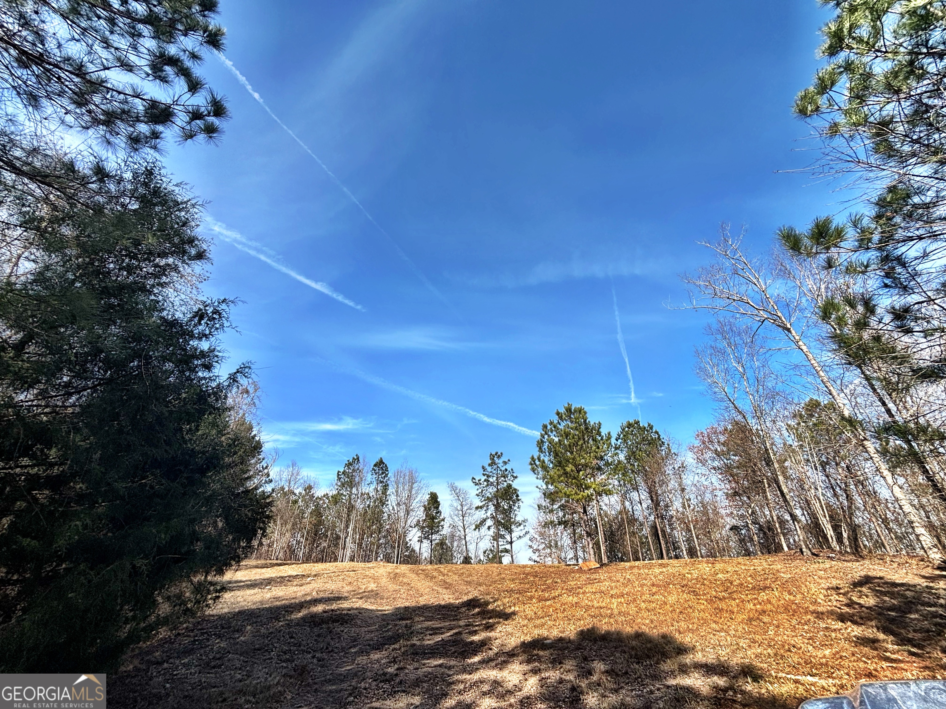6411 Columbus Road Lizella GA 31052