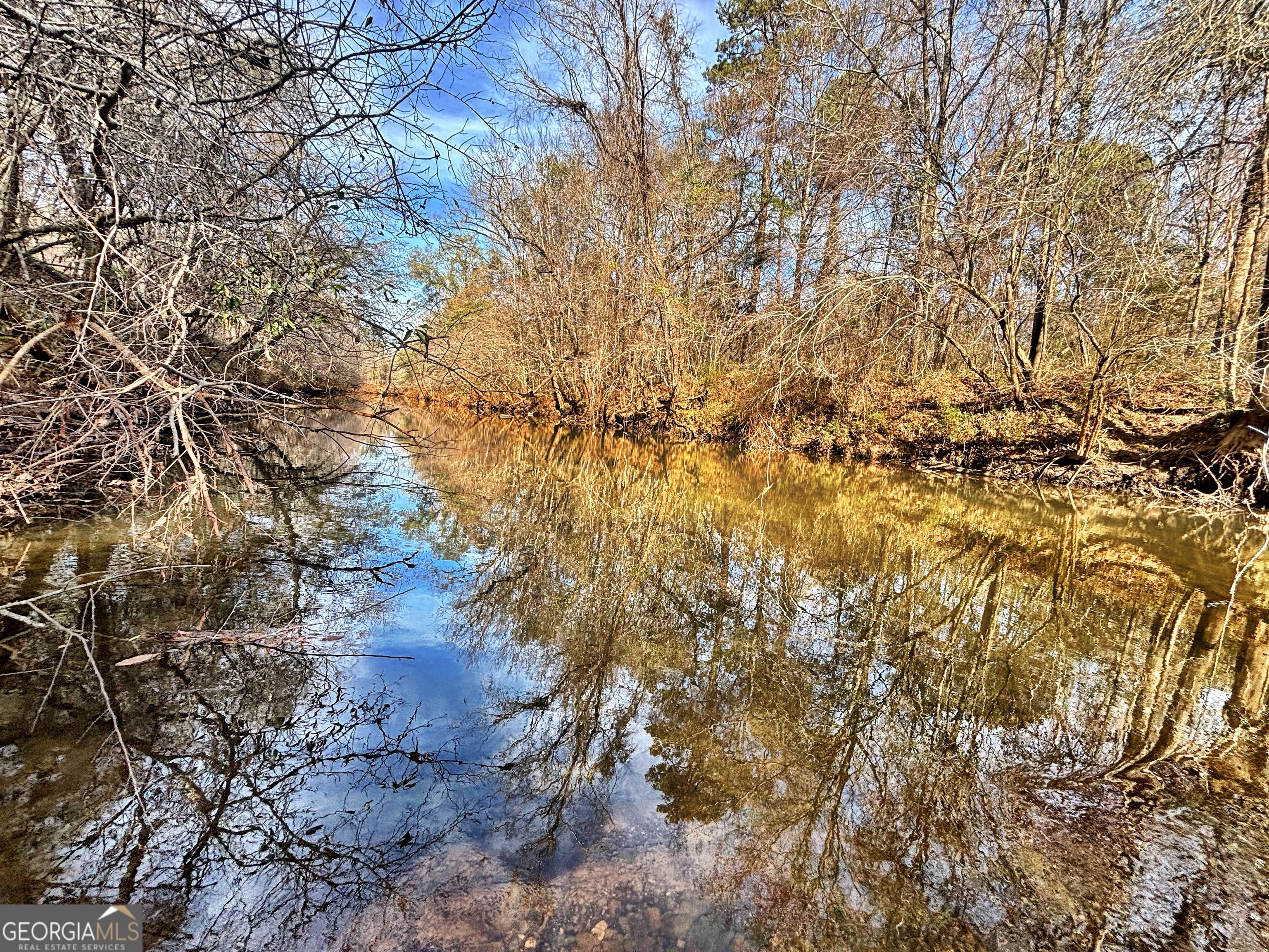 6411 Columbus Road Lizella GA 31052