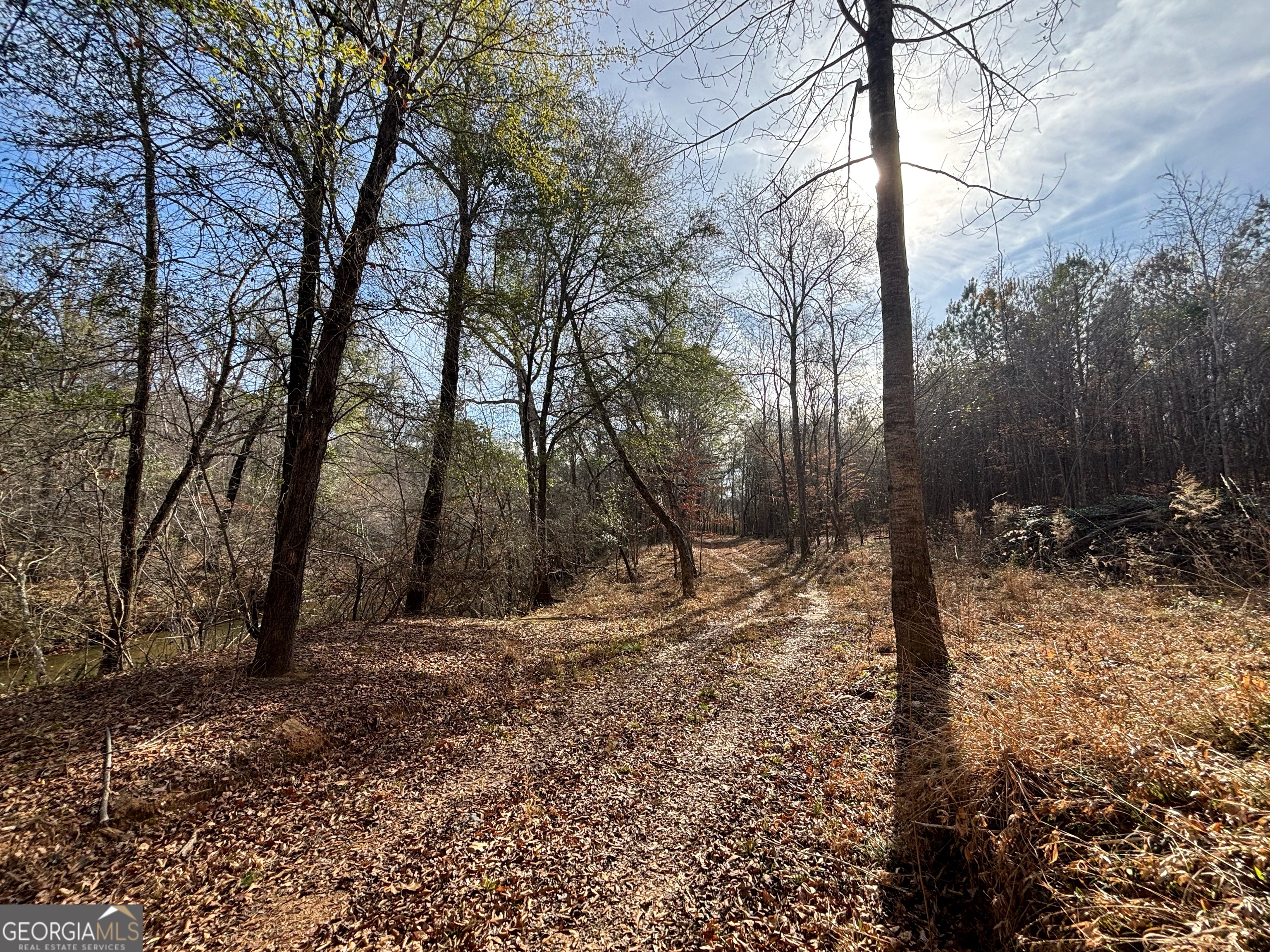 6411 Columbus Road Lizella GA 31052