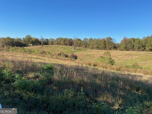 115 Roan Williams Road Royston GA 30662