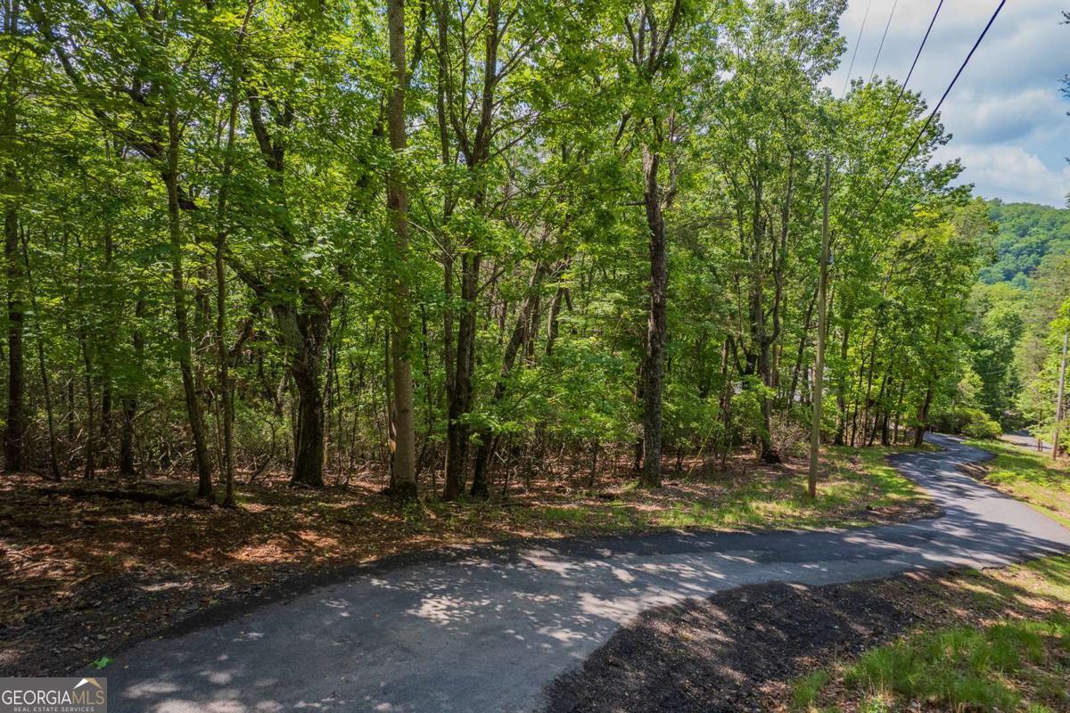 9806 Fairway Drive Jasper GA 30143