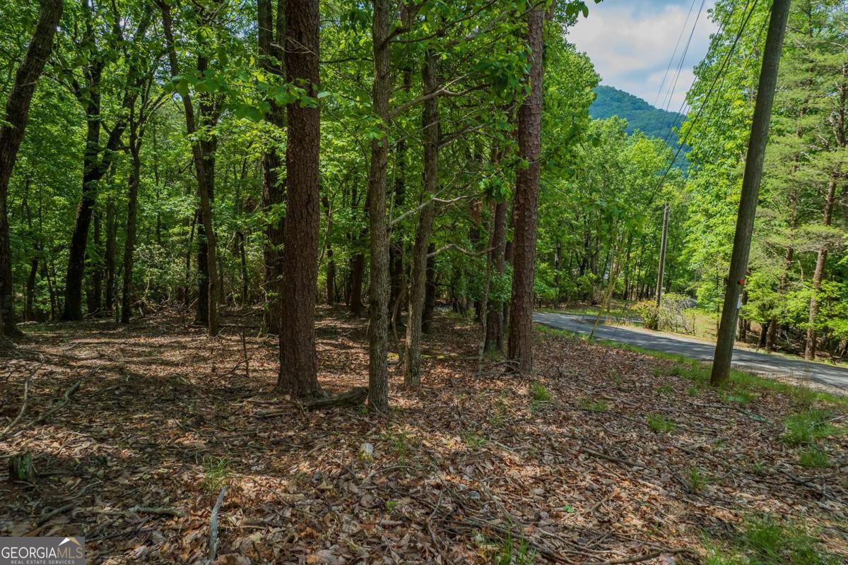 9806 Fairway Drive Jasper GA 30143